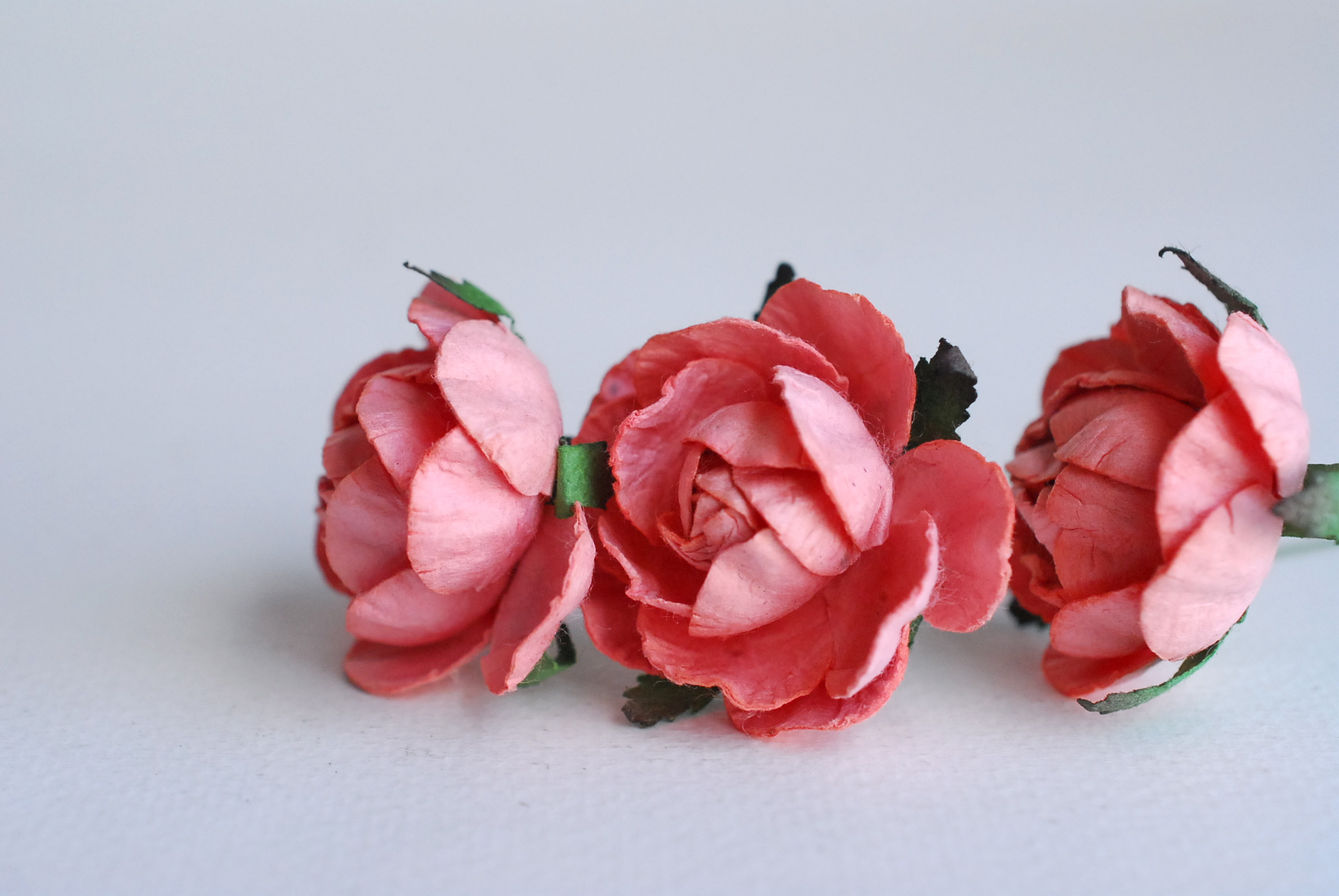 ดอกกุหลาบกระดาษสา peony ดอกไม้กระดาษสาราคาส่ง, ดอกไม้กระดาษ,ดอกไม้ประดิษฐ์ สำหรับตกแต่งของชำร่วย งานแต่งงาน ดอกกุหลาบกลม peony ขนาด 3.5 cm. จำนวน 25 ดอก, สีชมพูหวาน coral Paper Flowers, Peony flowers supplies size 3.5cm./ 25 pieces, handmade flowers. cora