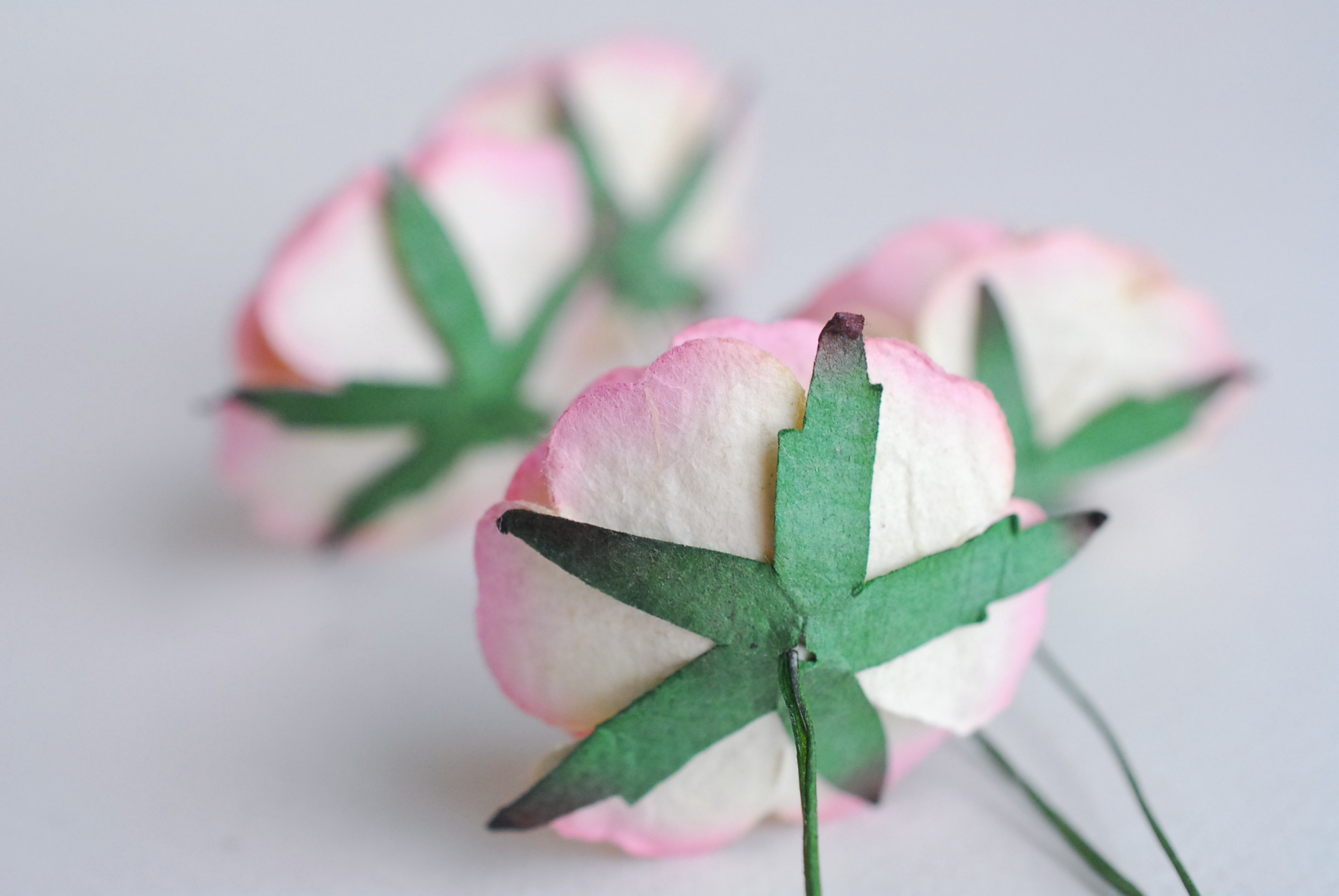 ดอกไม้กระดาษสา ราคาส่ง, ดอกกุหลาบกระดาษสา ดอกไม้ประดิษฐ์ สำหรับตกแต่ง หรืองานแต่งงาน สีชมพูหวานปัดครีมขนาด 3.5 cm. จำนวน 25 ดอก Paper flowers, handmade flowers, small roses paper size 3.5 cm. 25 pieces, pink brush ivory color.