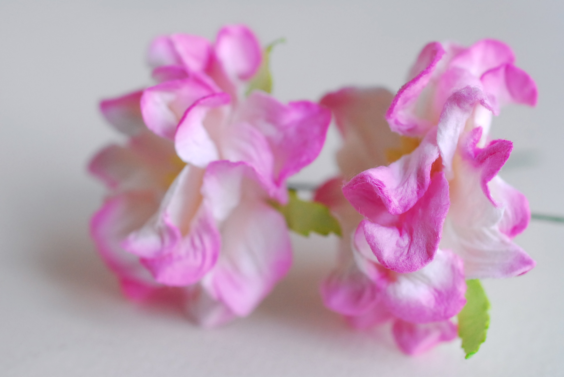 ดอกไม้กระดาษสา ราคาส่ง, ดอกการเดนเนียกระดาษสา ดอกไม้ประดิษฐ์ ตกแต่งงานแต่งงาน ประดิษฐ์ข้อมือเพื่อนเจ้าสาว ขนา่ด 3.5 cm., สำหรับของชำร่วย, งานแต่งงาน, ดอกไม้ทำข้อมือเจ้าสาว สีชมพูัดขาว จำนวน 25 ดอก Paper flower,25 Pieces mulberry gardenia flowers supplies