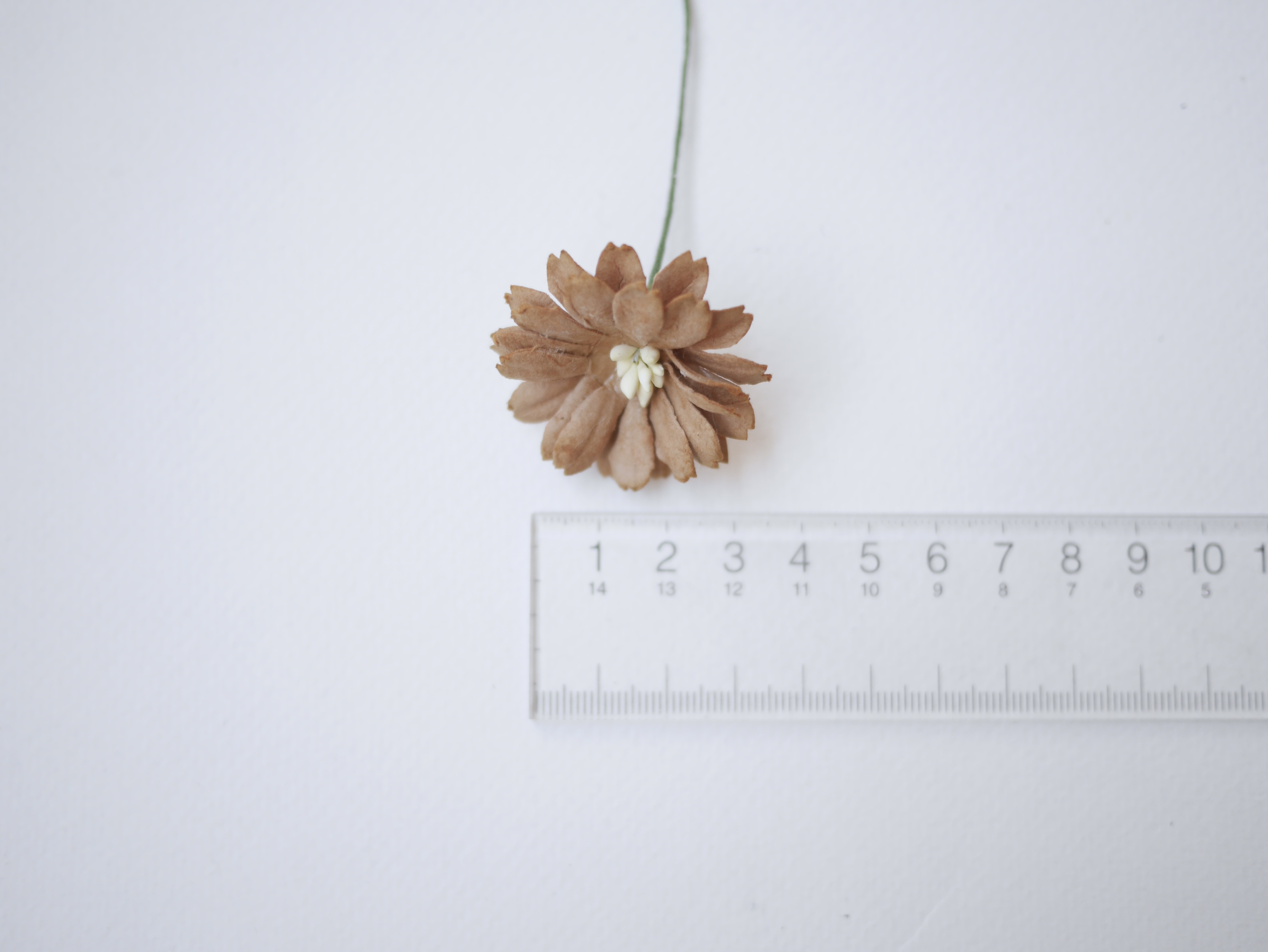 ดอกไม้กระดาษสา ดอกไม้ประดิษฐ์จากกระดาษสา ดอกไม้กระดาษสาขายส่ง ดอกไม้ประดิษฐ์ ดอกไม้ทำข้อมือเพื่อนเจ้าสาว ดอก daisy ขนาด 3.5 cm. จำนวน 25 ดอก สีน้ำตาล Paper Flower, 25 Daisy Flowers, brown color, size 3.5 cm., ivory pollen