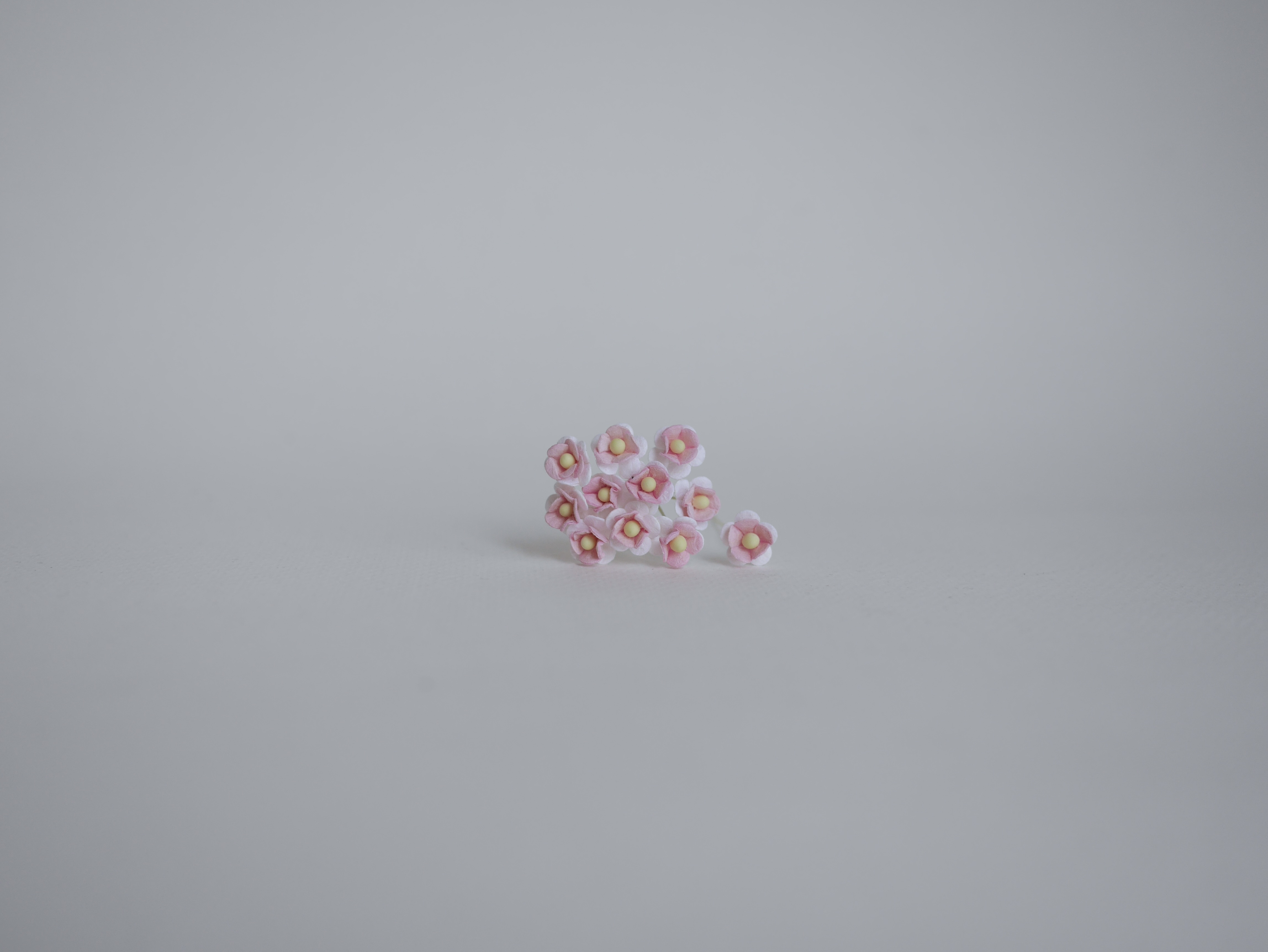 ดอกไม้กระดาษสา ดอกไม้กระดาษสาราคาส่ง ดอกไม้กระดาษสำหรับตกแต่ง งานแต่งงาน หรือติดของชำร่วย ดอก creeping lady 100 ดอก ขนาด 0.8 cm. สีชมพู-ขาว 2สี Small Paper Flower with stem, 100 pcs., size 0.8 cm., creeping flowers 2 layers, pink-white 2tone color