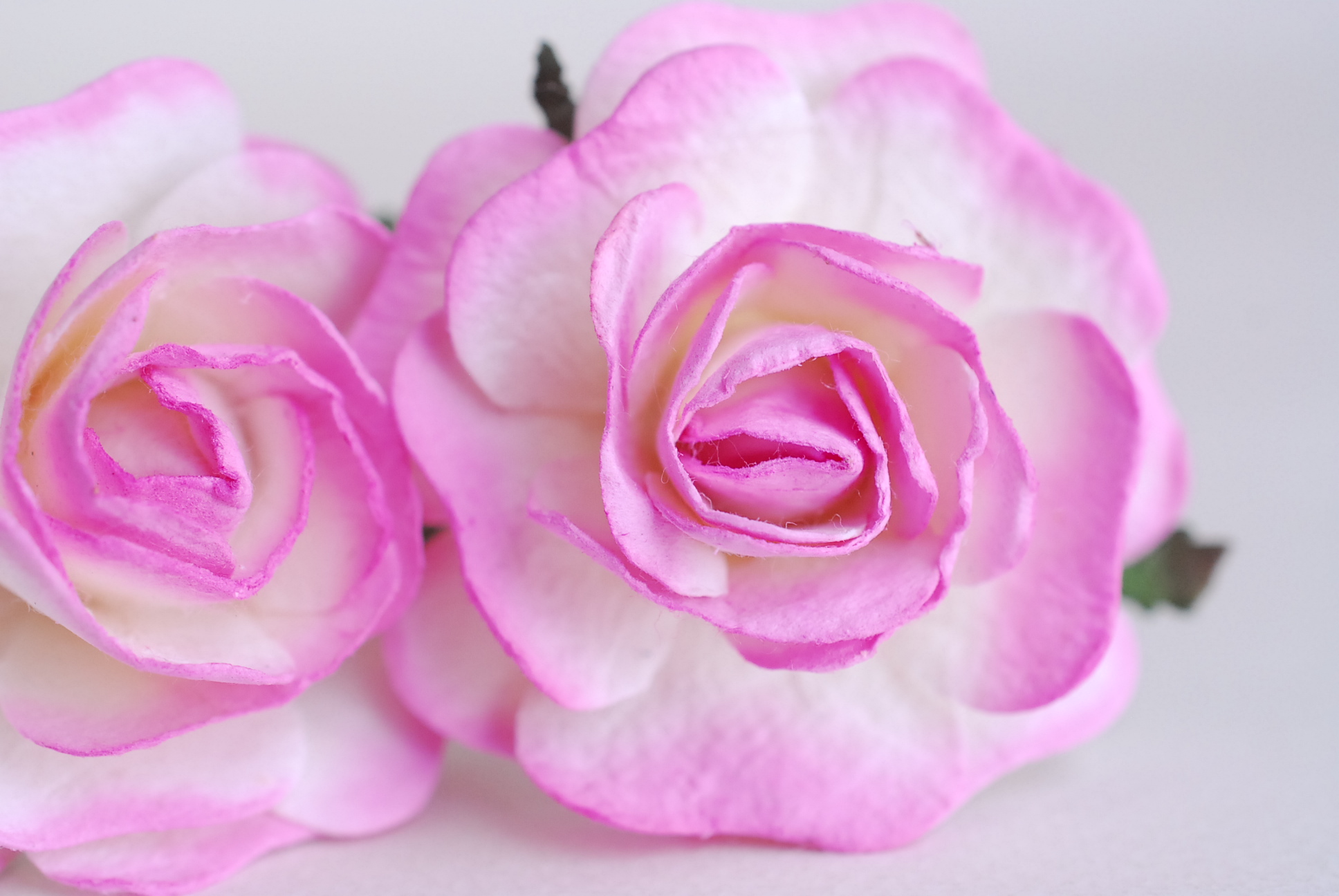 ดอกไม้กระดาษสา,paper flowers ดอกไม้ประดิษฐ์ ดอกไม้กระดาษสำหรับตกแต่ง สำหรับของชำร่วย, งานแต่งงาน, ดอกกุหลาบ PUL4-4 N ขนาด 4.5 cm. สีชมพูปัดขาวcode color518