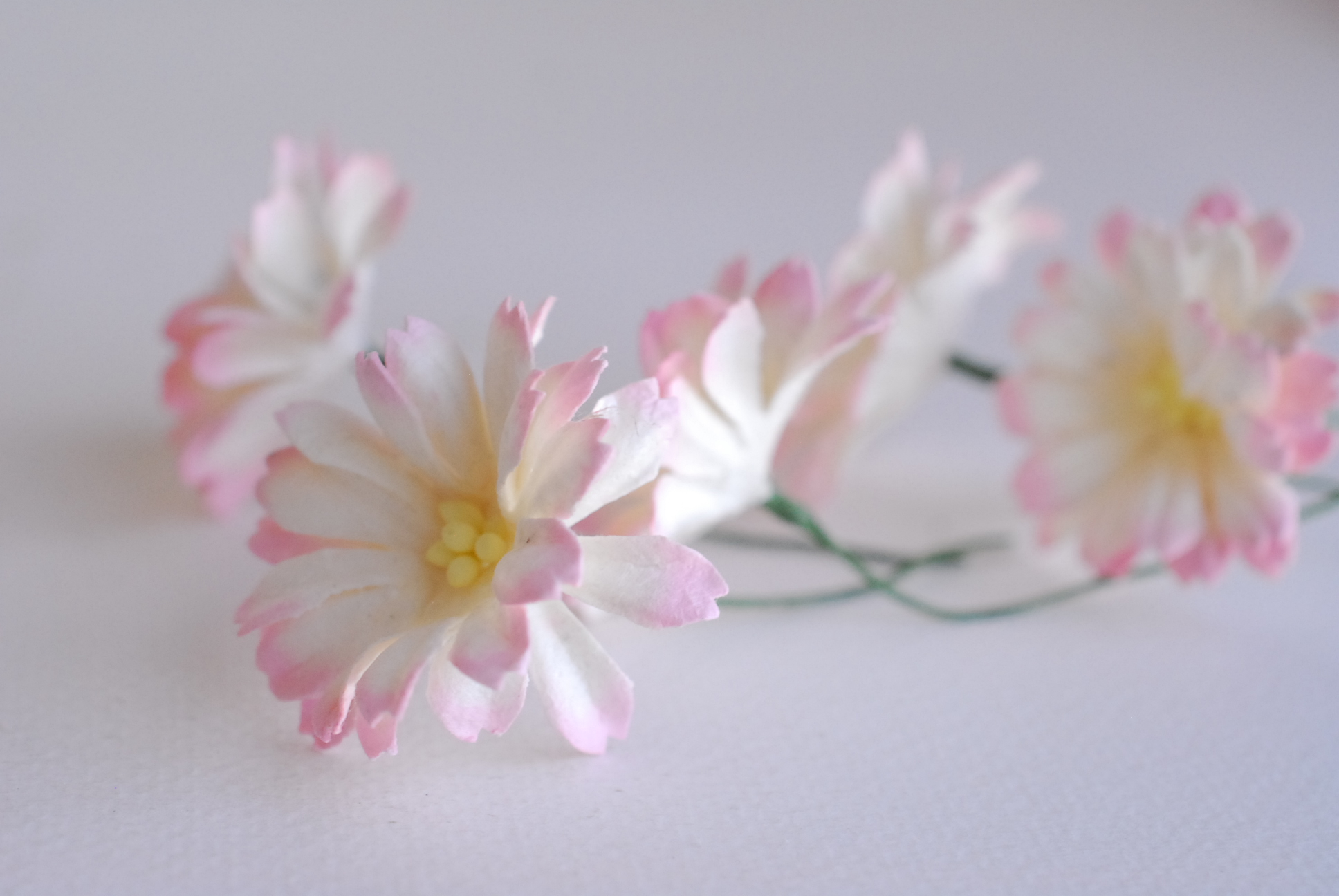 ดอกไม้กระดาษสา ดอกไม้ประดิษฐ์จากกระดาษสา ดอกเดซี่ ดอกไม้กระดาษสาขายส่ง ดอกไม้ประดิษฐ์ ดอกไม้ทำข้อมือเพื่อนเจ้าสาว ดอก daisy ขนาด 3.5 cm. จำนวน 25 ดอก สีชมพูอ่อนปัดขาว Paper Flower, 25 Daisy Flowers, pale blue color, size 4.5 cm., soft pink brush white col