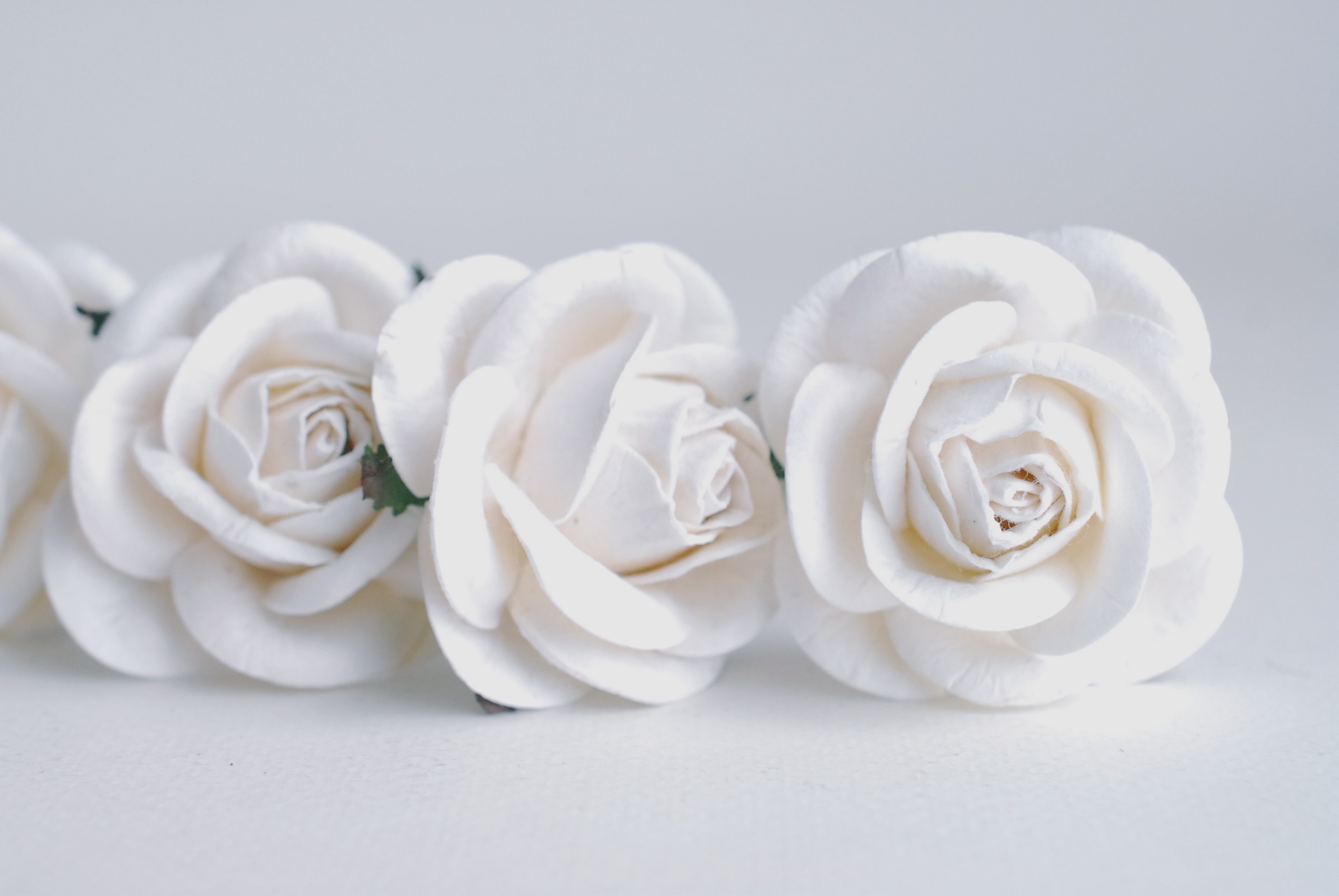 ดอกไม้กระดาษสา 10 ห่อ (200ดอก) ดอกไม้กุหลาบประดิษฐ์ ดอกไม้ประดิษฐ์ งานแต่งงาน ตกแต่งของชำร่วย ขนา่ด 4.5 cm., สำหรับของชำร่วย, งานแต่งงาน,ของชำร่วย งานแต่งงาน สีขาว Paper flower,200 Pieces mulberry rose, 4.5 cm. white color. สำเนา