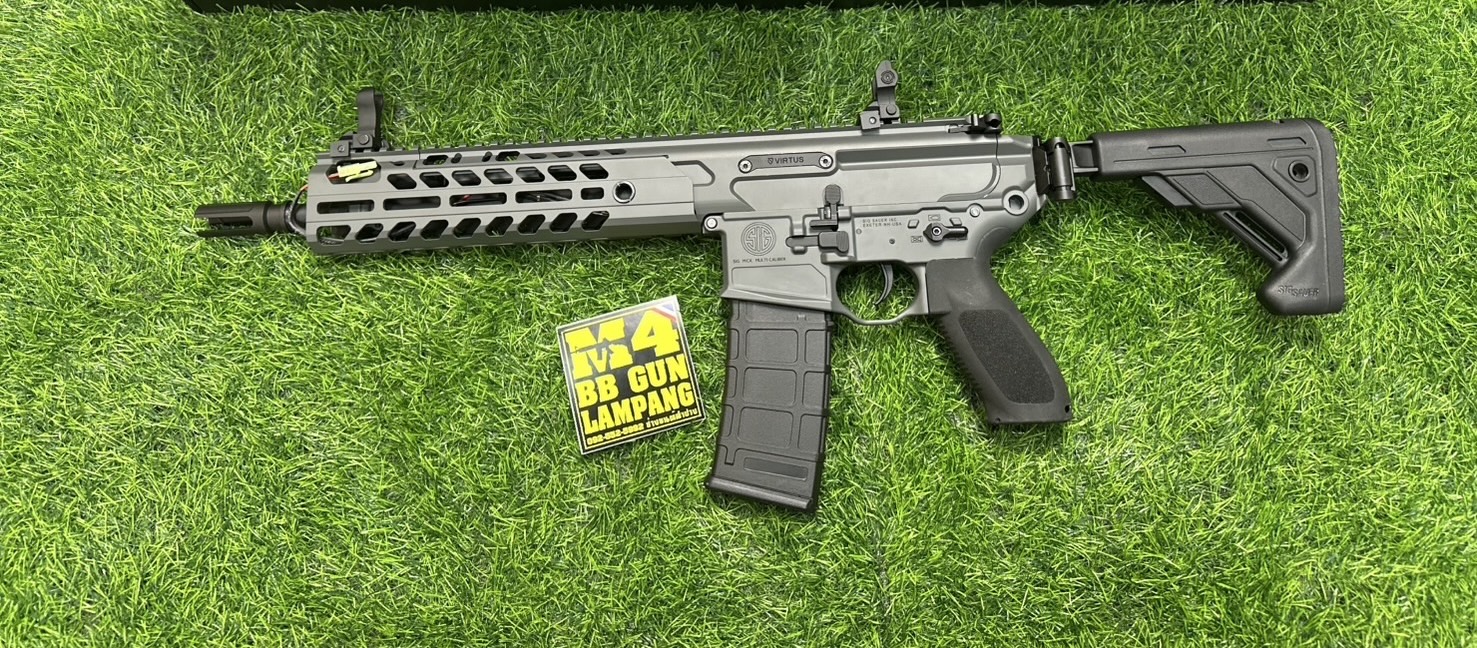 E&C SIG MCX Virtus SBR 9.5" AEG