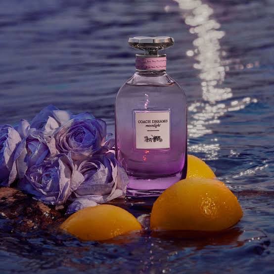 Coach Dreams Moonlight EDP ขนาดทดลอง 4.5 ml หัวแต้ม
