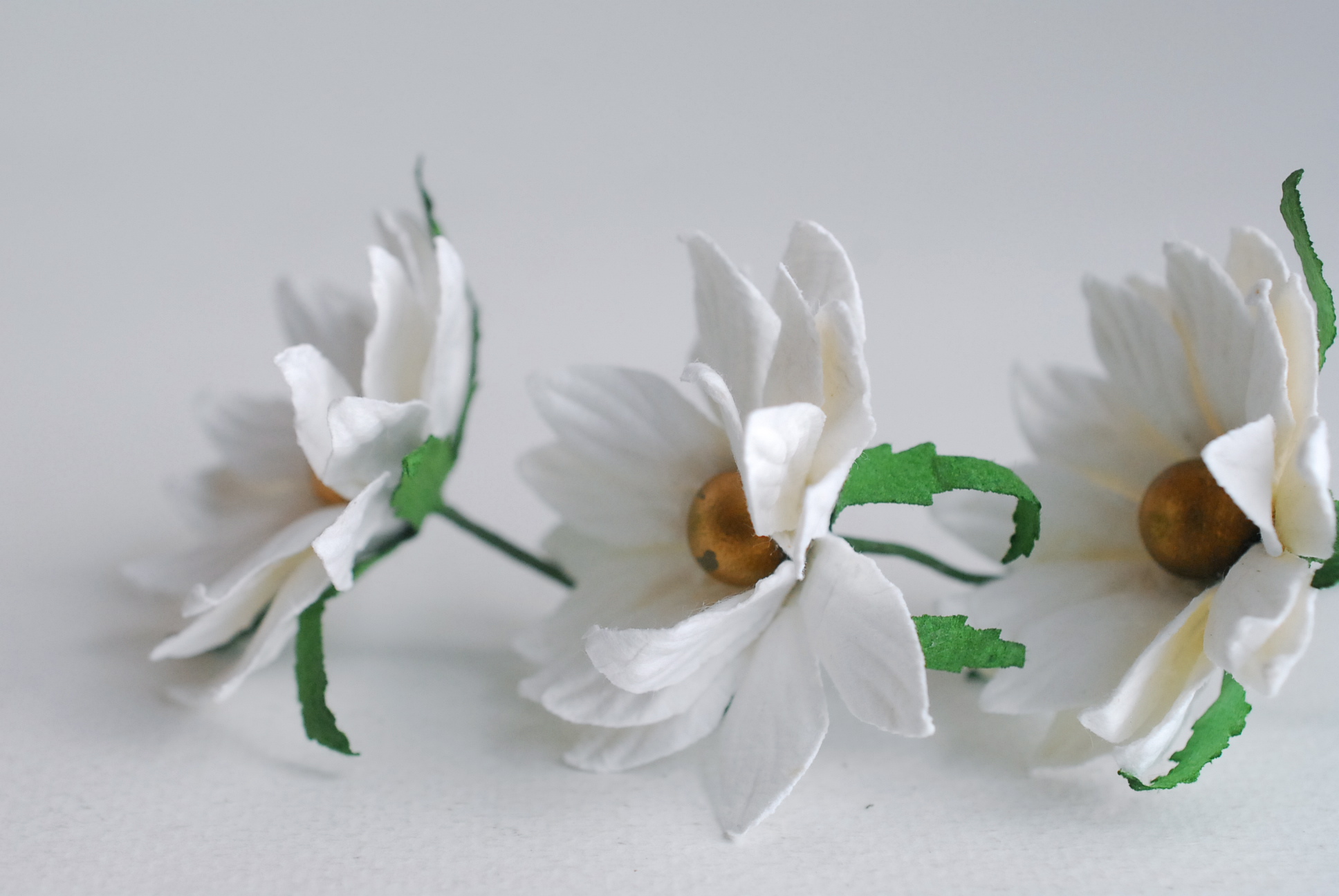 ดอกไม้กระดาษสา ดอกไม้ประดิษฐ์จากกระดาษสา ดอกเดซี่ เกสรสีทอง ดอกไม้กระดาษสาขายส่ง ดอกไม้ประดิษฐ์ ดอกไม้ทำข้อมือเพื่อนเจ้าสาว ดอก daisy ขนาด 5cm. จำนวน 25 ดอก สีขาว Paper Flower, 25 Daisy Flowers, ivory color, size 5 cm., golden pollen.