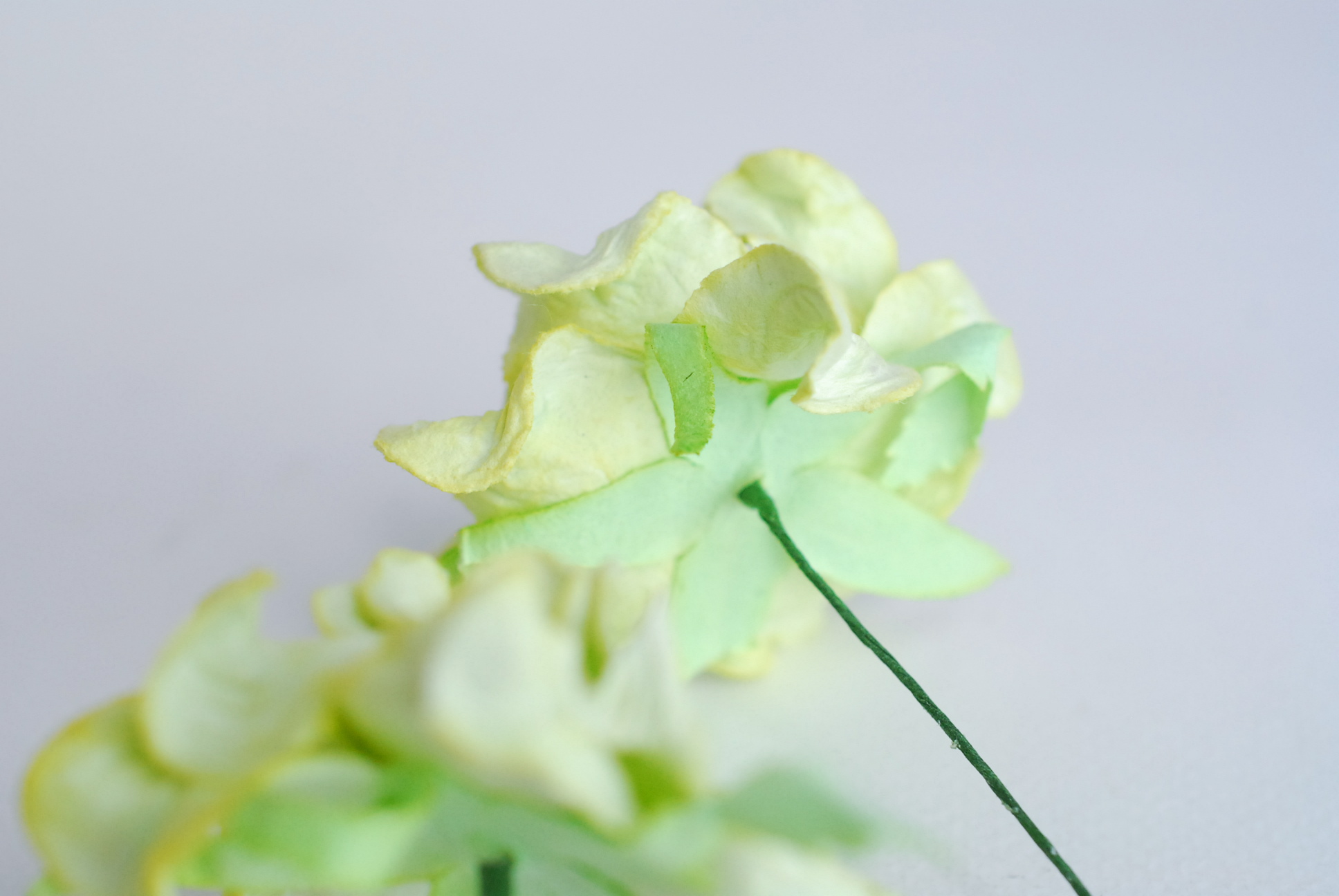 ดอกไม้กระดาษสา ราคาส่ง, ดอกการเดนเนียกระดาษสา ดอกไม้ประดิษฐ์ ตกแต่งงานแต่งงาน ประดิษฐ์ข้อมือเพื่อนเจ้าสาว ขนา่ด 5.5 cm., สำหรับของชำร่วย, งานแต่งงาน, ดอกไม้ทำข้อมือเจ้าสาว สีเขียวอ่อน จำนวน 25 ดอก Paper flower,25 Pieces mulberry gardenia flowers suppiles