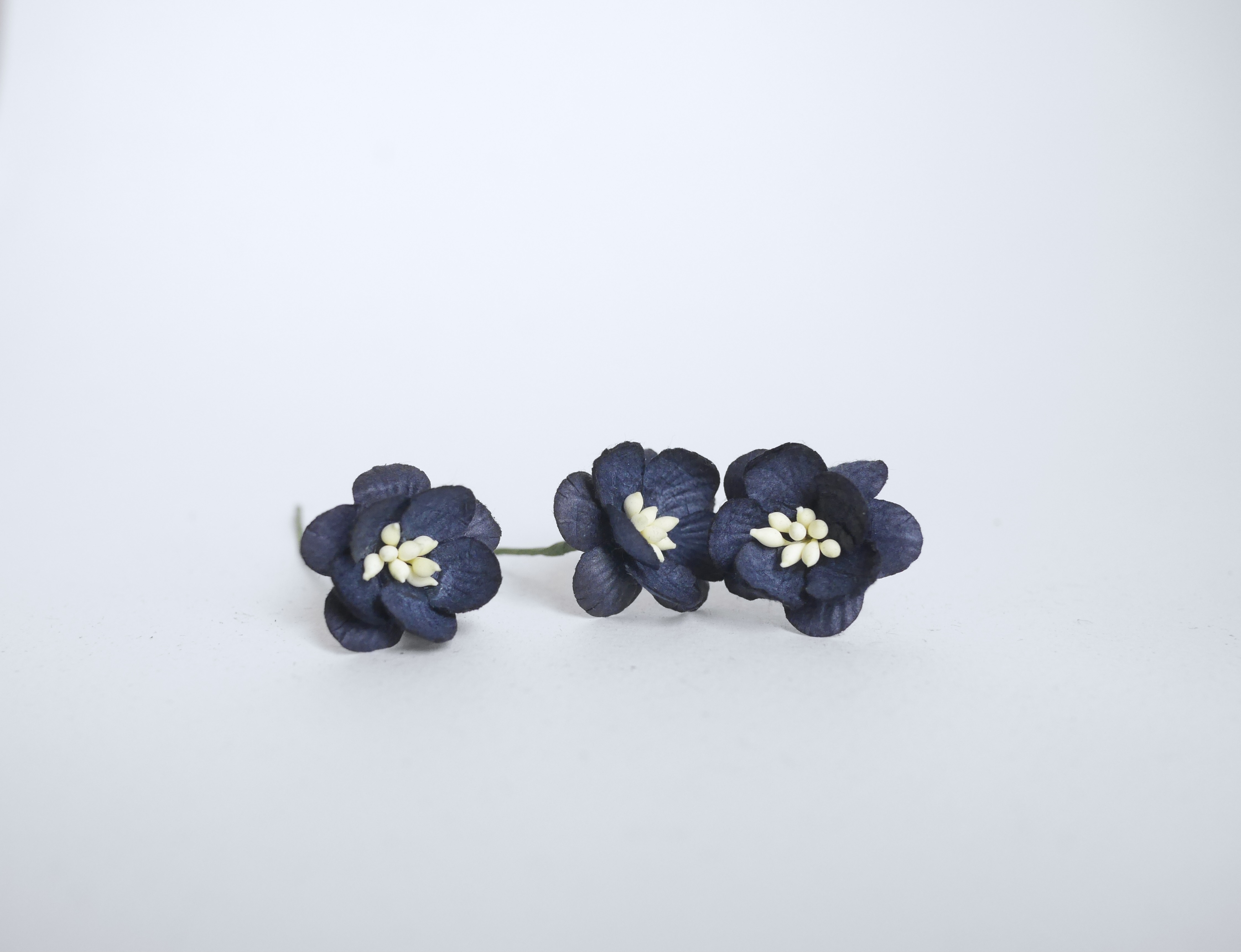 ดอกไม้กระดาษสา ดอกซากุระกระดาษ ดอกไม้กระดาษสาราคาส่ง ดอกไม้กระดาษสำหรับตกแต่งของชำร่วย งานแต่งงาน ทำช่อดอกไม้ติดอกเจ้าบ่าว ข้อมือดอกไม้เจ้าสาว ขนาด2.5 cm. 50 ดอก สีดำ Paper flowers supplies: DIY wedding tools Cherry blossom (Sakura) 50 pcs. size 2.5 cm. b