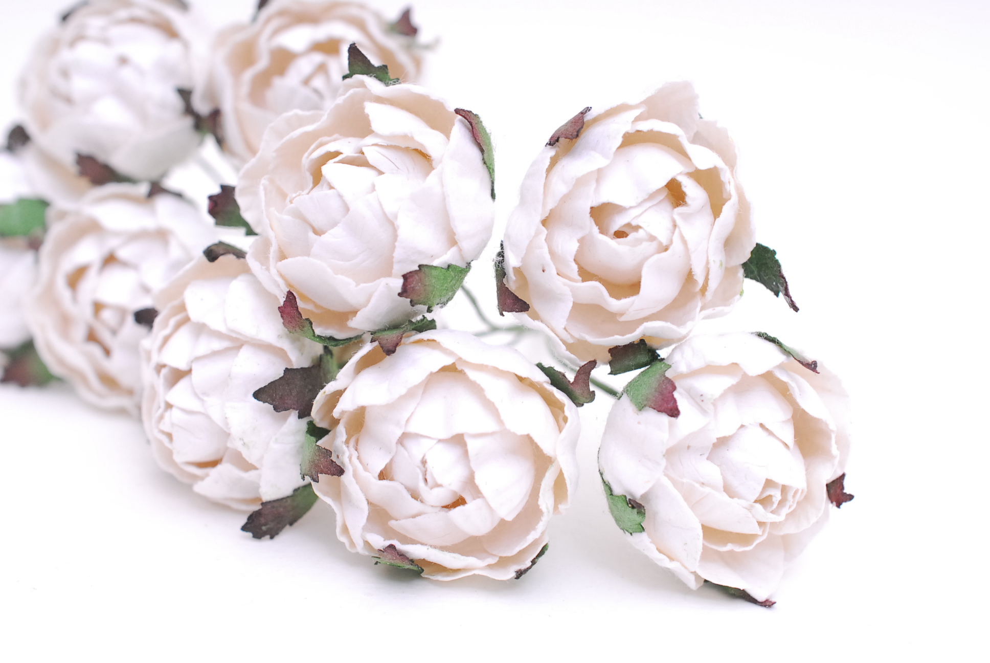 Paper flower, English peony Ranunculus roses 25 pcs., size 3.5 cm., white color. ดอกไม้กระดาษสา ดอกกุหลาบขนาด 3.5 cm. จำนวน 25 ดอก, สีขาว