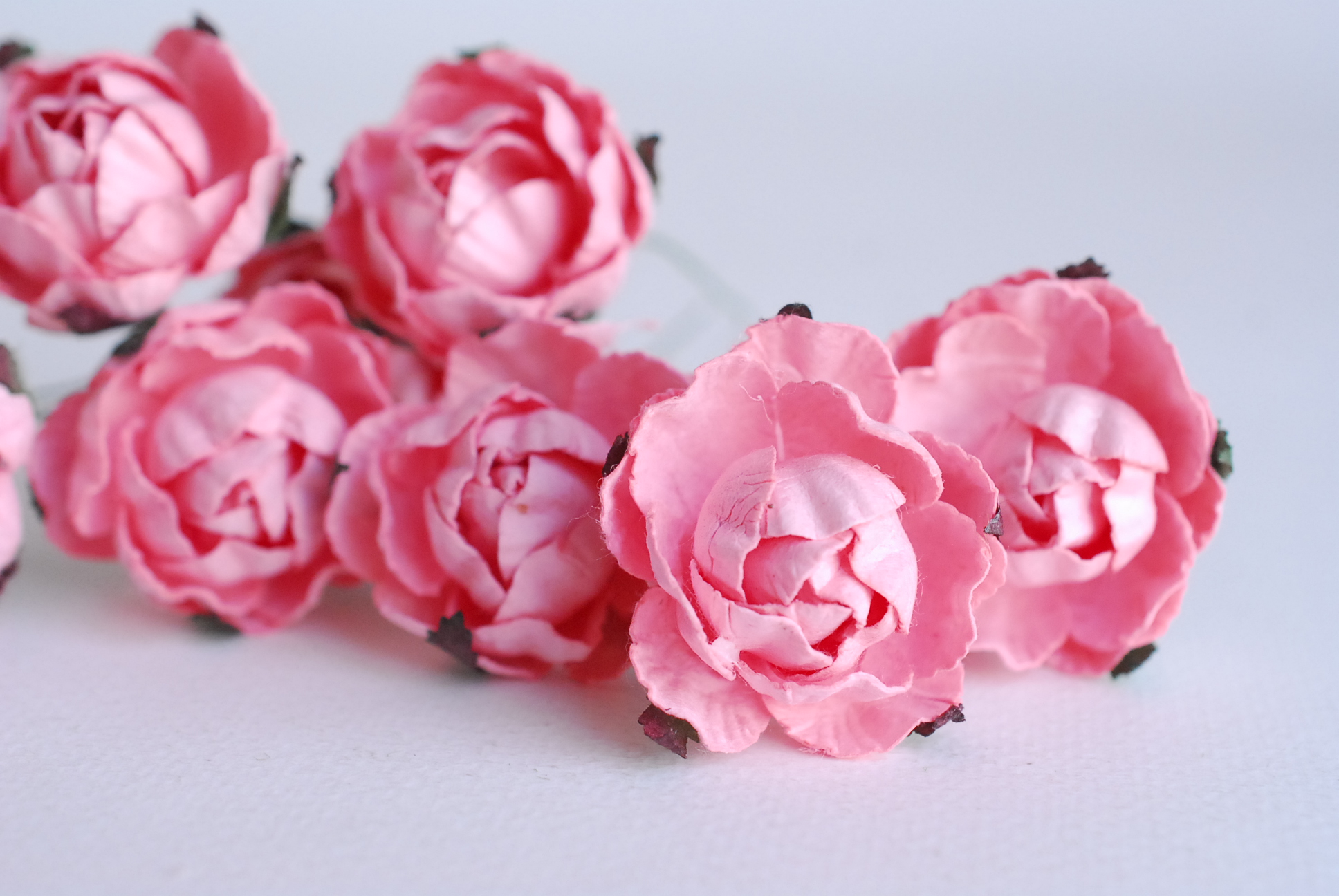 ดอกกุหลาบกระดาษสา peony ดอกไม้กระดาษสาราคาส่ง, ดอกไม้กระดาษ,ดอกไม้ประดิษฐ์ สำหรับตกแต่งของชำร่วย งานแต่งงาน ดอกกุหลาบกลม peony ขนาด 3.5 cm. จำนวน 25 ดอก, สีชมพูหวาน Paper Flowers, Peony flowers supplies size 3.5cm./ 25 pieces, handmade flowers. pink color