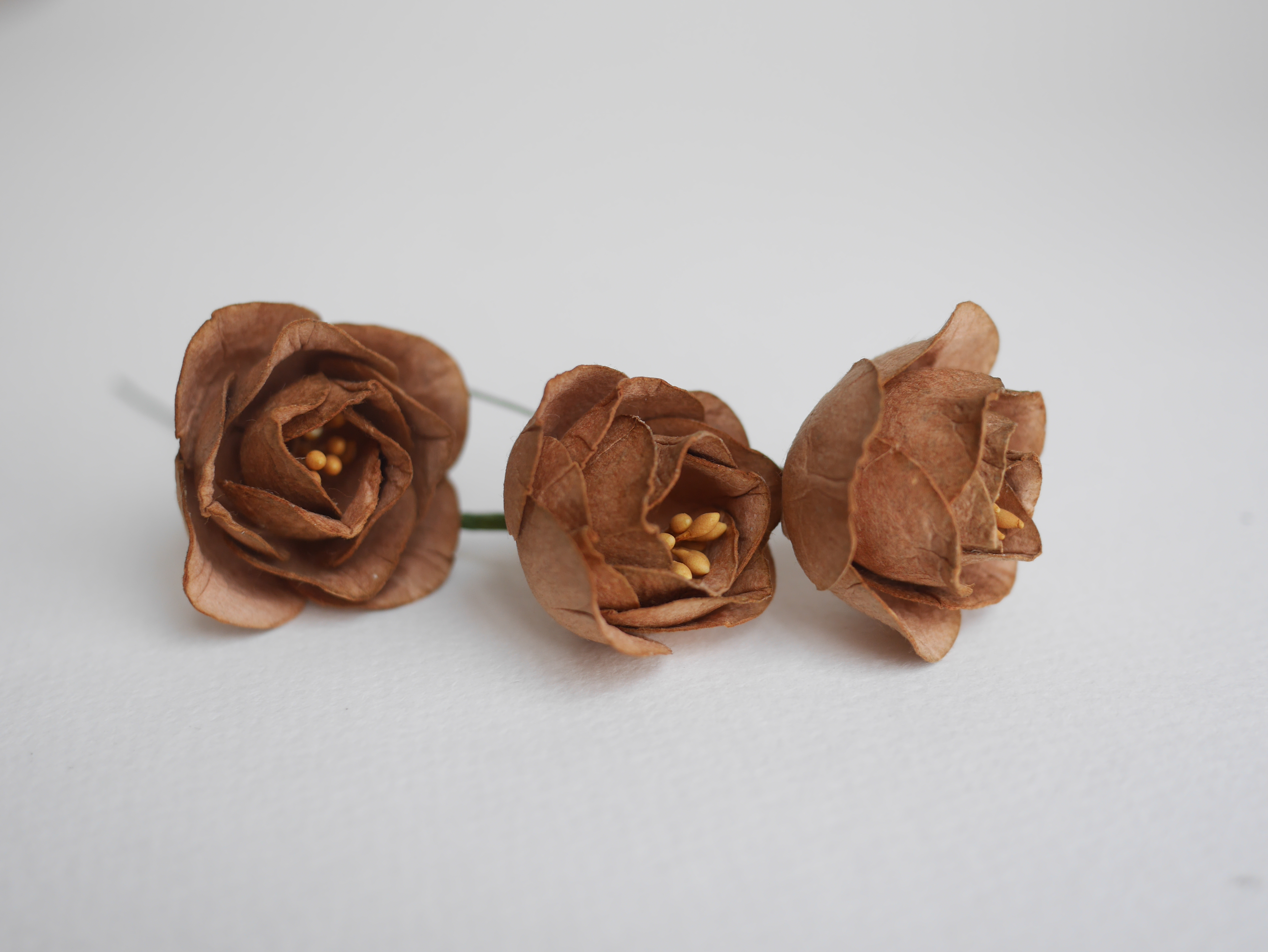 ดอกไม้กระดาษสา ดอกโลตัสอินโดนิเซียกระดาษ ดอกไม้กระดาษสาราคาส่ง ดอกไม้กระดาษสำหรับตกแต่งของชำร่วย งานแต่งงาน ทำช่อดอกไม้ติดอกเจ้าบ่าว ข้อมือดอกไม้เจ้าสาว ขนาด 4.5 cm. 20 ดอก สีน้ำตาลโกโก้ Paper flowers supplies: DIY wedding tools, Lotus with pollens.