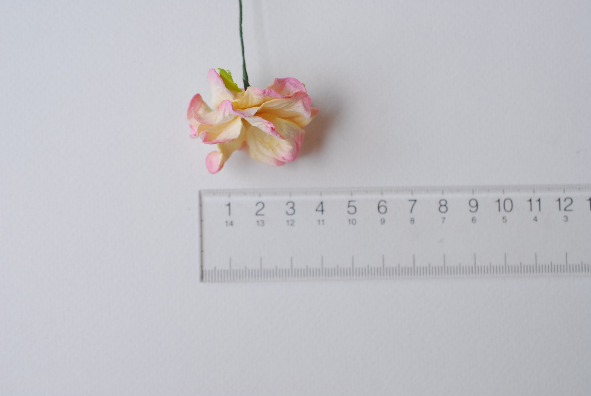 ดอกไม้กระดาษสา ราคาส่ง, ดอกการเดนเนียกระดาษสา ดอกไม้ประดิษฐ์ ตกแต่งงานแต่งงาน ประดิษฐ์ข้อมือเพื่อนเจ้าสาว ขนาด 3.5 cm., สำหรับของชำร่วย, งานแต่งงาน, ดอกไม้ทำข้อมือเจ้าสาว สีชมพูปัดครีม จำนวน 25 ดอก Paper flower, 25 Pieces mulberry gardenia flowers supplie