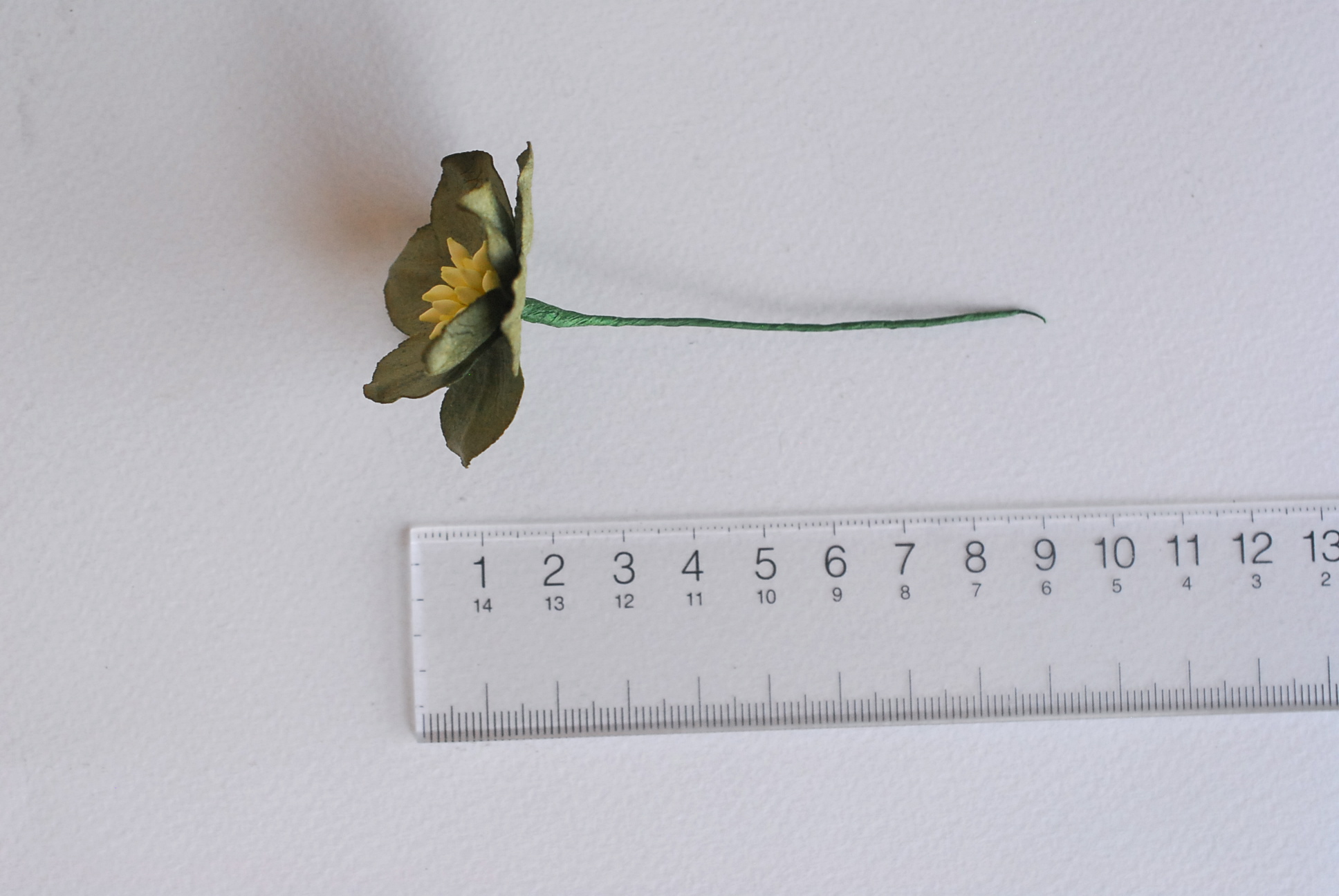 ดอกไม้กระดาษสา ดอกโลตัสอินโดนิเซียกระดาษ ดอกไม้กระดาษสาราคาส่ง ดอกไม้กระดาษสำหรับตกแต่งของชำร่วย งานแต่งงาน ทำช่อดอกไม้ติดอกเจ้าบ่าว ข้อมือดอกไม้เจ้าสาว ขนาด3.5 cm. 25 ดอก สีเขียวทหารเข้ม Paper flowers supplies: DIY wedding tools Big Cherry blossom (Lotus