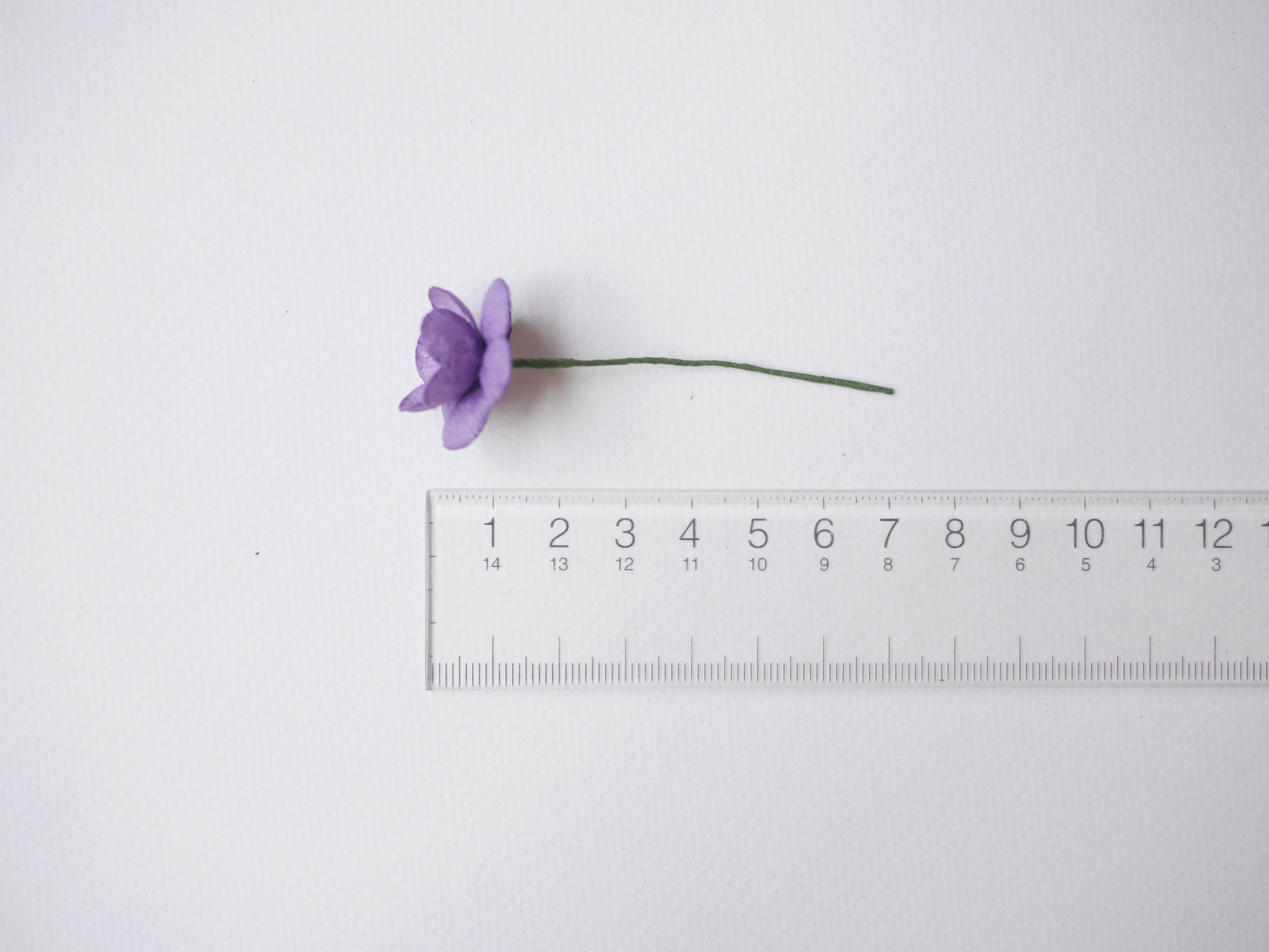 ดอกไม้กระดาษสา ดอกซากุระกระดาษ ขนาดเล็ก ดอกไม้กระดาษสาราคาส่ง ดอกไม้กระดาษสำหรับตกแต่งของชำร่วย งานแต่งงาน ทำช่อดอกไม้ติดอกเจ้าบ่าว ข้อมือดอกไม้เจ้าสาว ขนาด 2.5 cm. 50 ดอก สีม่วงเข้ม Paper flowers supplies: DIY wedding tools small Cherry blossom (Sakura)