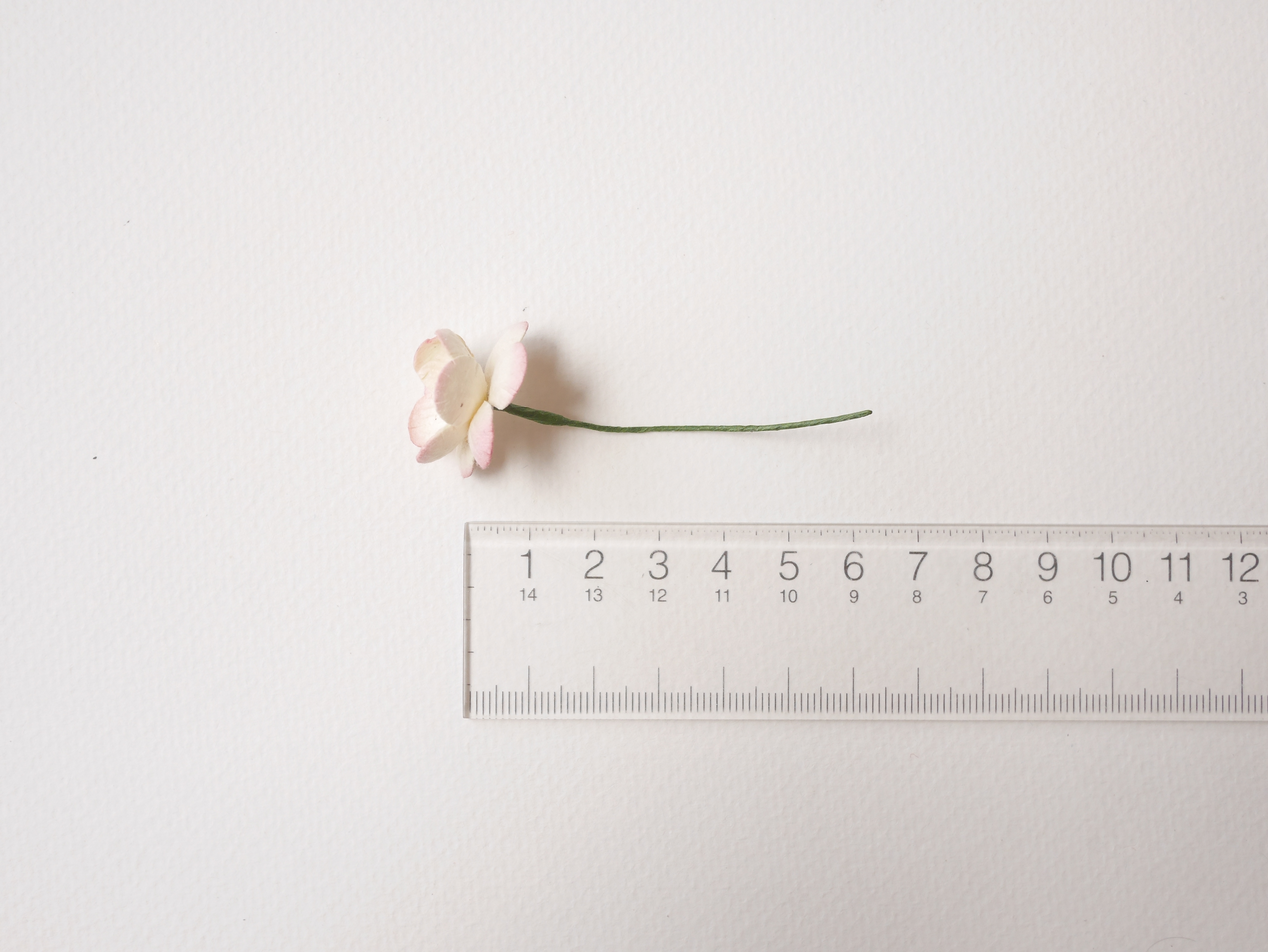 ดอกไม้กระดาษสา ดอกซากุระกระดาษ ดอกไม้กระดาษสาราคาส่ง ดอกไม้กระดาษสำหรับตกแต่งของชำร่วย งานแต่งงาน ทำช่อดอกไม้ติดอกเจ้าบ่าว ข้อมือดอกไม้เจ้าสาว ขนาด2.5 cm. 50 ดอก สีเบอรี่ปัดครีม Paper flowers supplies: DIY wedding tools Cherry blossom (Sakura) 50 pcs. siz