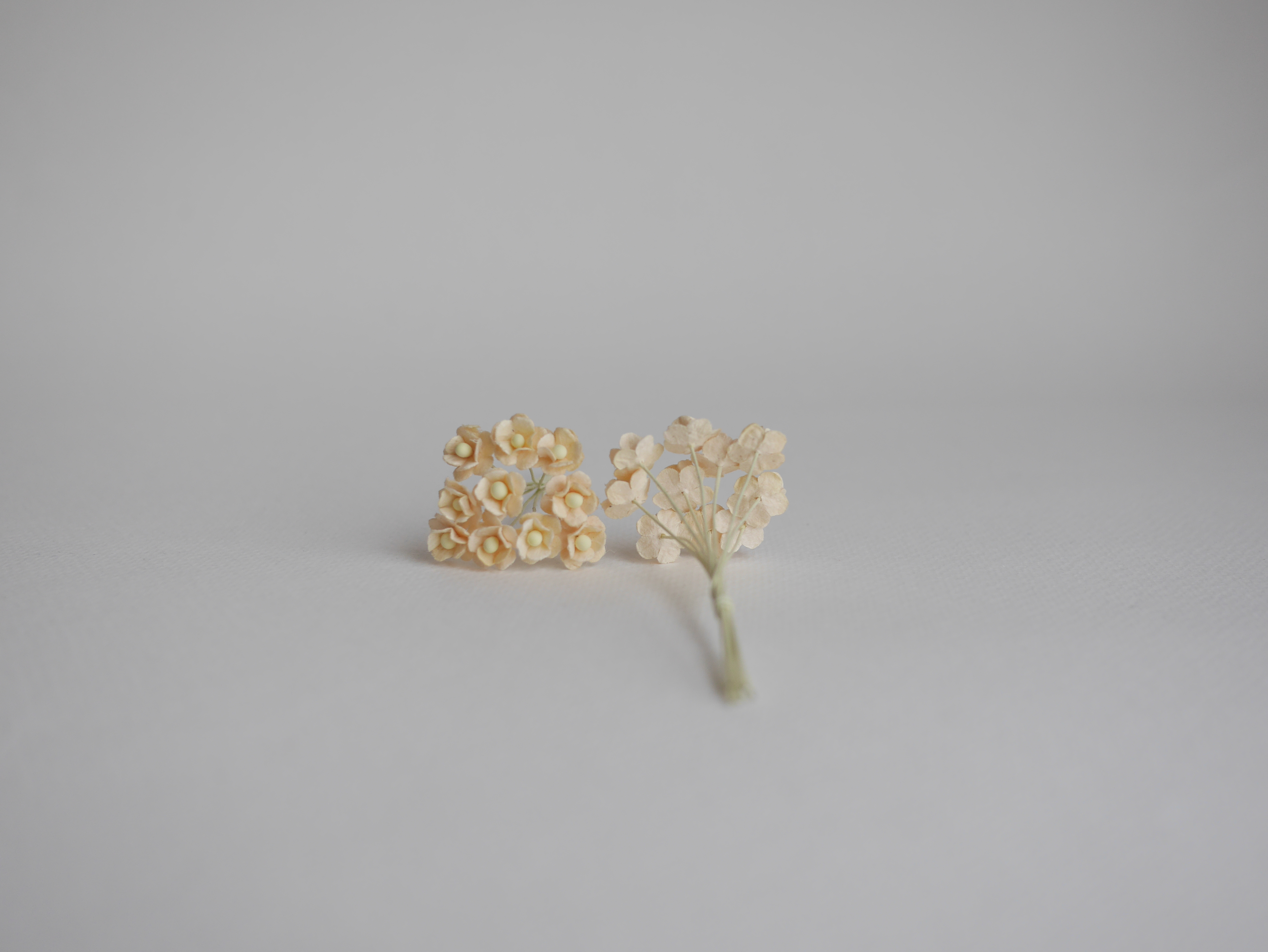 ดอกไม้กระดาษสา ดอกไม้กระดาษสาราคาส่ง ดอกไม้กระดาษสำหรับตกแต่ง งานแต่งงาน หรือติดของชำร่วย ดอก creeping lady 100 ดอก ขนาด 0.8 cm. สีเหลืองไข่อ่อน Small Paper Flower with stem, 100 pcs., size 0.8 cm., creeping flowers 2 layers, soft egg color.