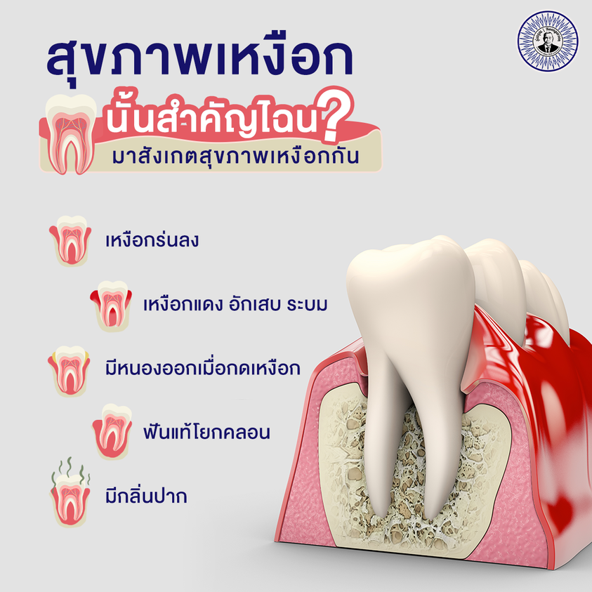 *พร้อมส่ง* รุ่งอรุณ ยาสีฟันสมุนไพร 18กรัม/ซอง