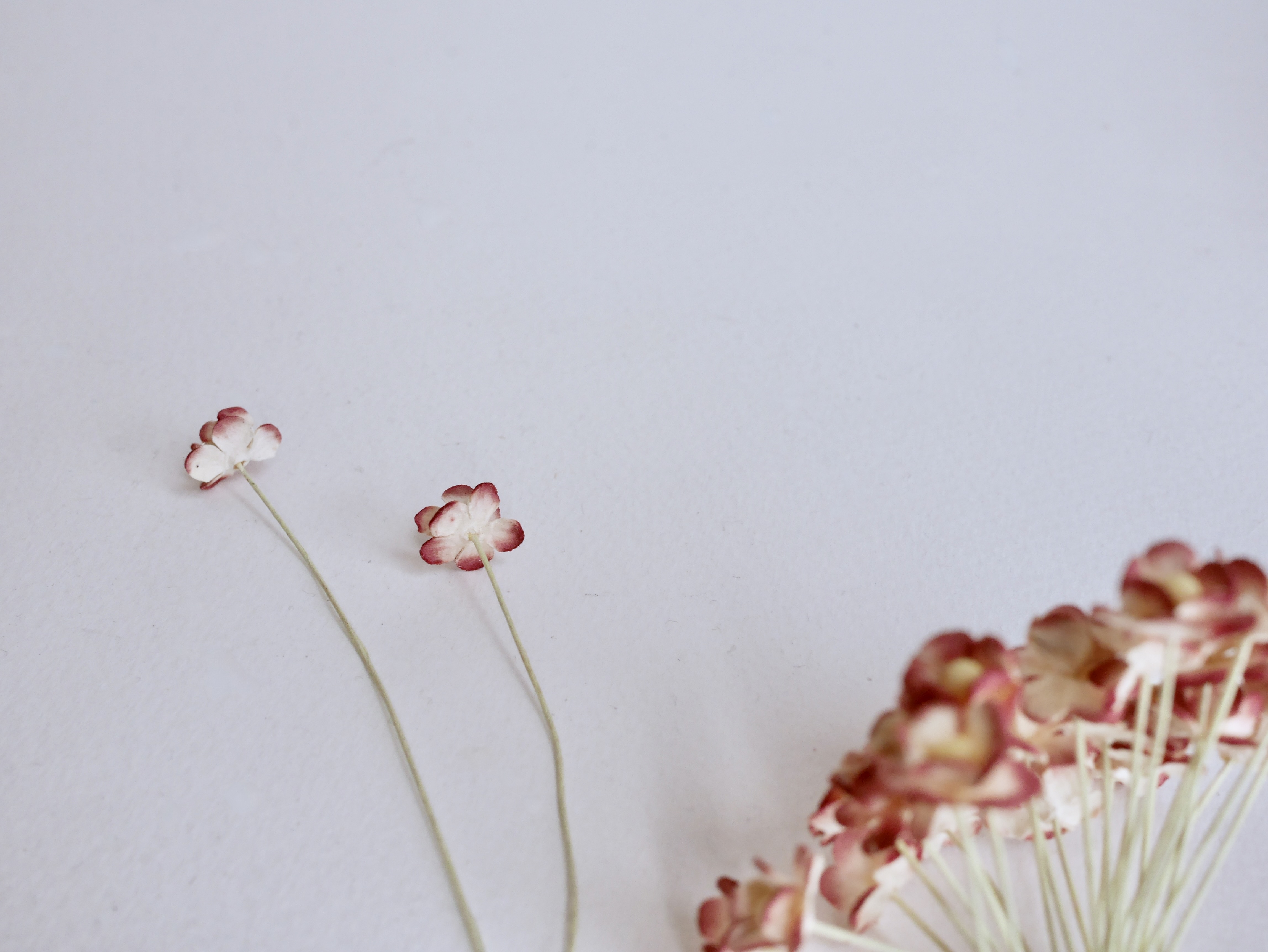 ดอกไม้กระดาษสา ดอกไม้กระดาษสาราคาส่ง ดอกไม้กระดาษสำหรับตกแต่ง งานแต่งงาน หรือติดของชำร่วย ดอก creeping lady 100 ดอก ขนาด 0.8 cm. สีเลือดหมูปัดสีงาช้าง Small Paper Flower with stem, 100 pcs., size 0.8 cm., creeping flowers 2 layers, red wine brush ivory co