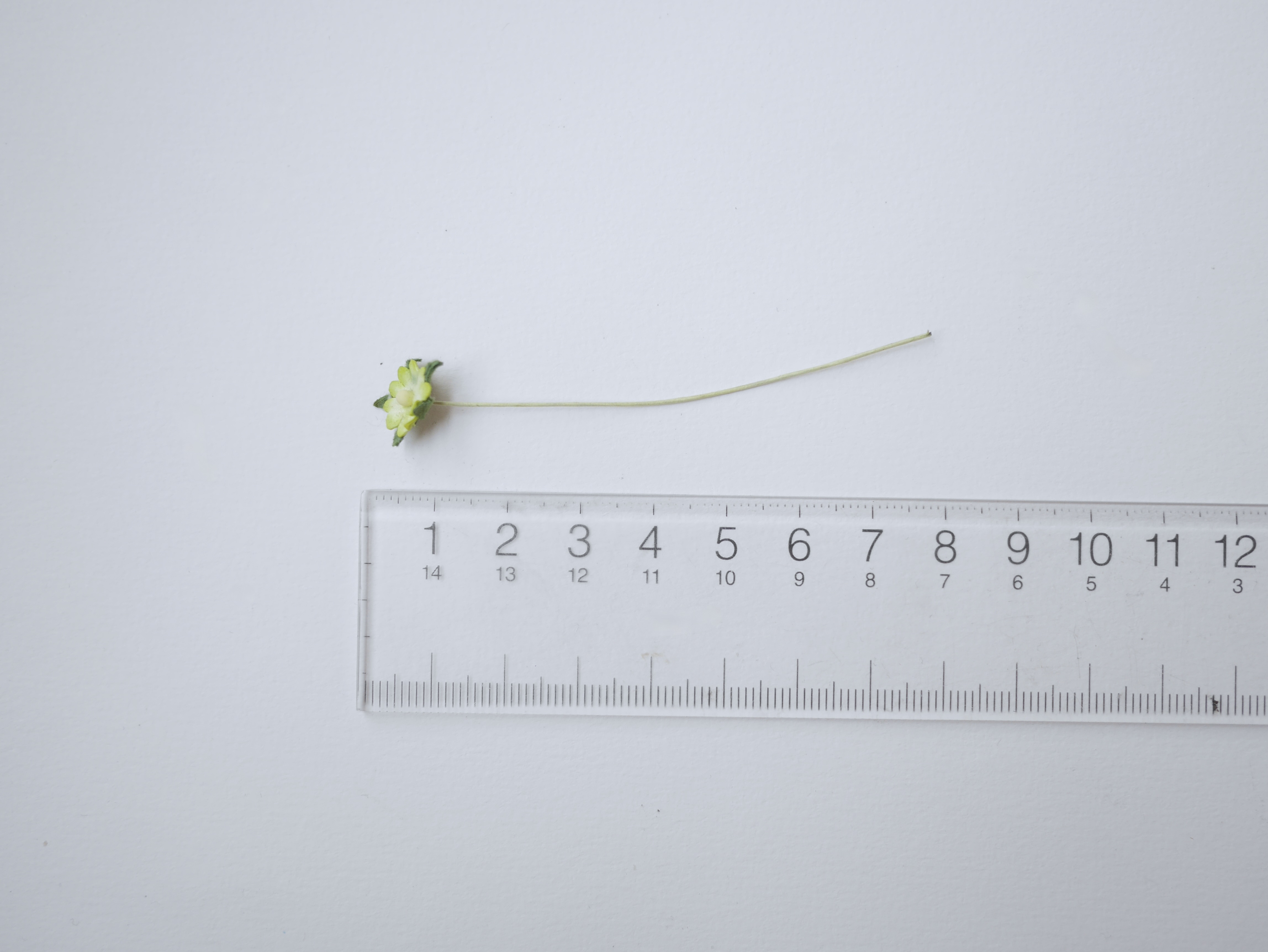 ดอกไม้กระดาษสา ดอกไม้กระดาษสาราคาส่ง ดอกไม้กระดาษสำหรับตกแต่ง งานแต่งงาน หรือติดของชำร่วย ดอกเดซี่ 100 ดอก ขนาด 0.8 cm. สีเขียวอ่อนปัด Small Paper Flower with stem, 100 pcs., size 0.8 cm., daisy flowers 2 layers, green brush color.