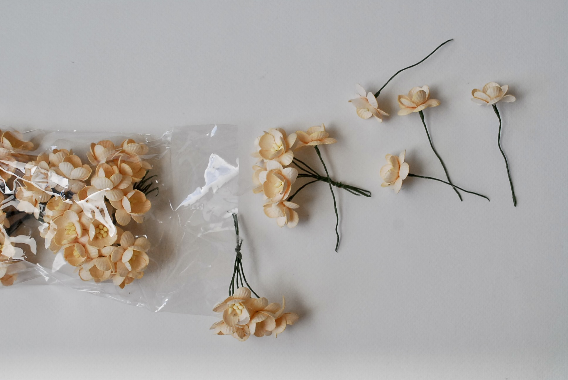 ดอกไม้กระดาษสา ดอกไม้กระดาษสาราคาส่ง ดอกไม้กระดาษสำหรับตกแต่งของชำร่วย งานแต่งงาน ทำช่อดอกไม้ติดอกเจ้าบ่าว ข้อมือดอกไม้เจ้าสาว ขนาด2.5 cm. 50 ดอก สีเบจ Paper flowers supplies: DIY wedding tools Cherry blossom (Sakura) 50 pcs. size 2.5 cm. beige color.