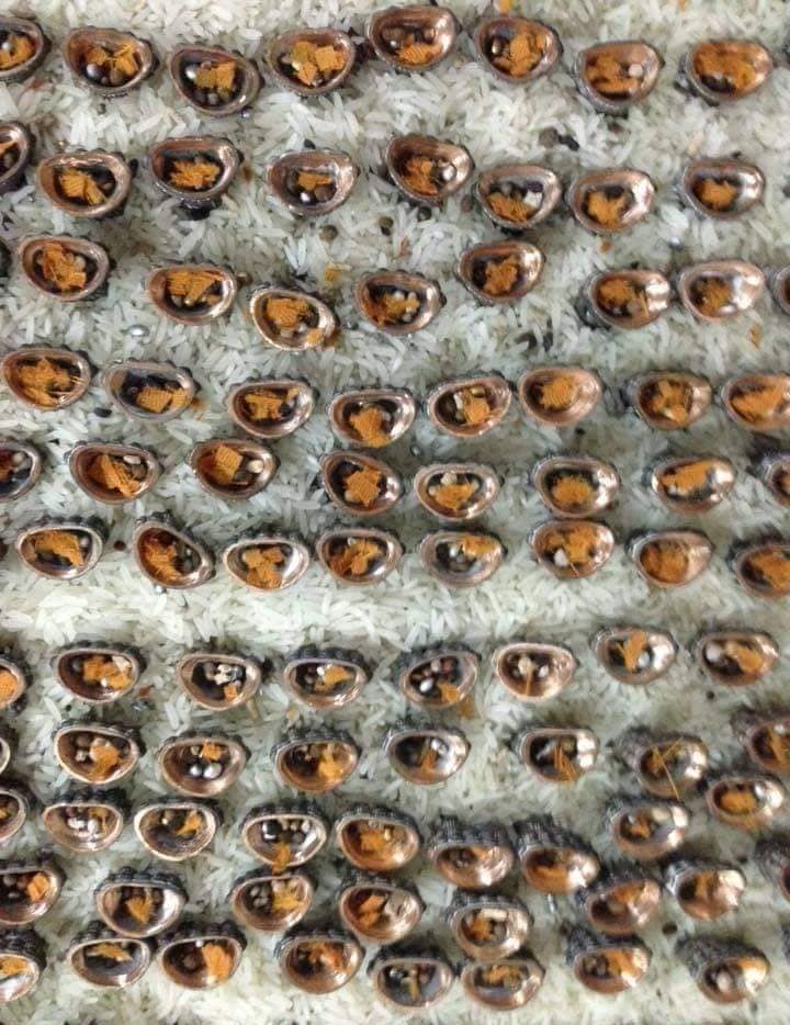 พระกริ่งฆฏิกามหาพรหม รุ่น ๑ หลวงปู่หงษ์ พรหมปัญโญ