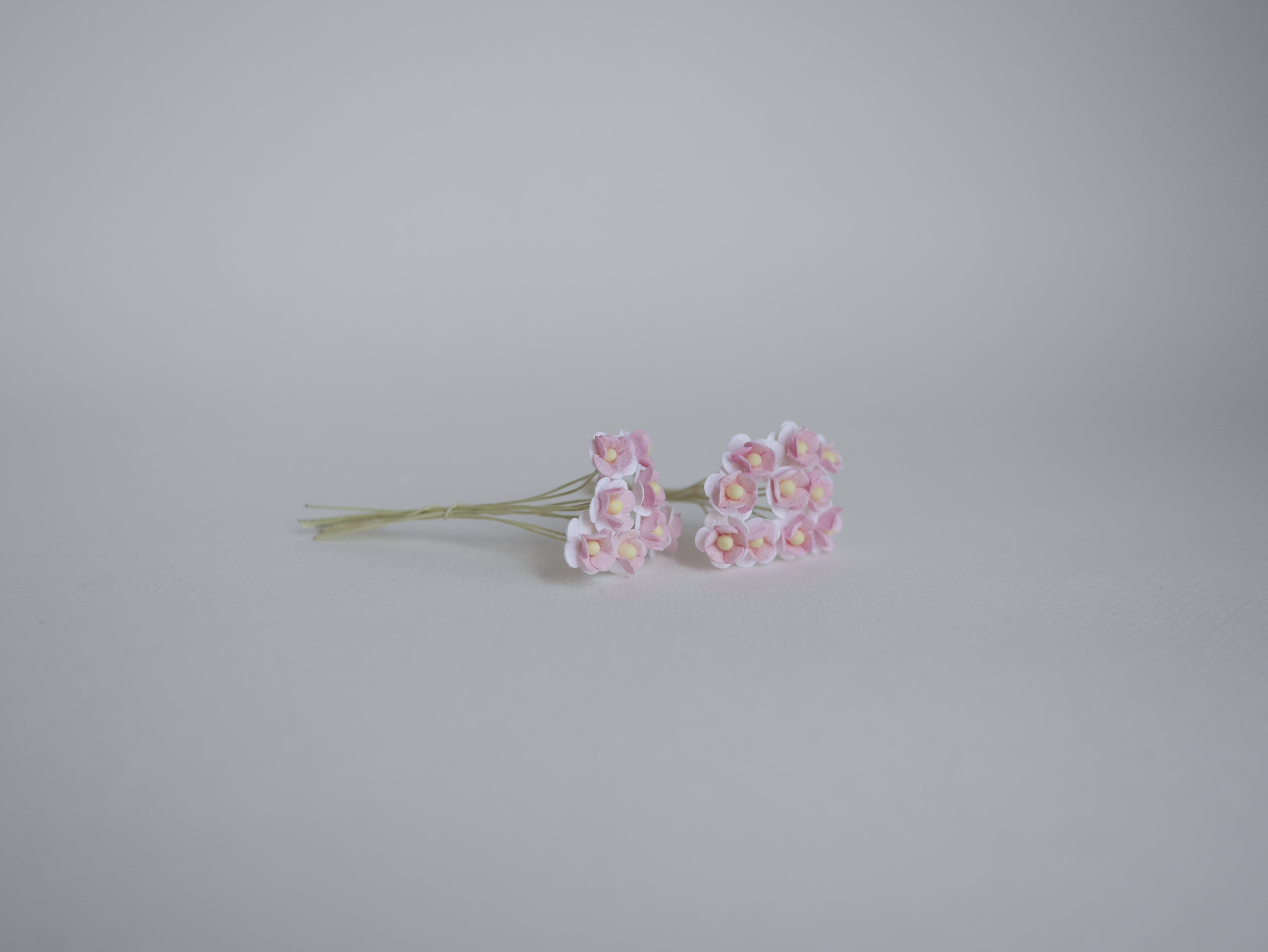 ดอกไม้กระดาษสา ดอกไม้กระดาษสาราคาส่ง ดอกไม้กระดาษสำหรับตกแต่ง งานแต่งงาน หรือติดของชำร่วย ดอก creeping lady 100 ดอก ขนาด 0.8 cm. สีชมพู-ขาว 2สี Small Paper Flower with stem, 100 pcs., size 0.8 cm., creeping flowers 2 layers, pink-white 2tone color