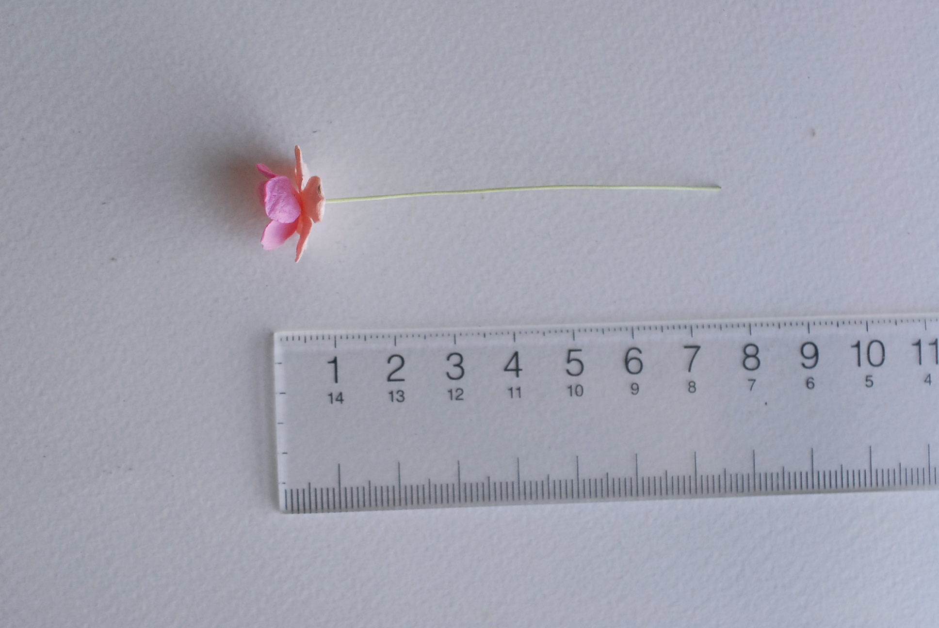 ดอกไม้กระดาษสา ราคาส่ง, ดอกไฮเดรนเยียกระดาษสา ดอกไม้ประดิษฐ์ ตกแต่งงานแต่งงาน ประดิษฐ์ข้อมือเพื่อนเจ้าสาว ขนา่ด 1.5 cm., สำหรับของชำร่วย, งานแต่งงาน, ดอกไม้ทำข้อมือเจ้าสาว สีชมพู-ชมพูอ่อน จำนวน 100 ดอก Paper flower,100 Pieces mulberry hydenyia, 2 TONE pin