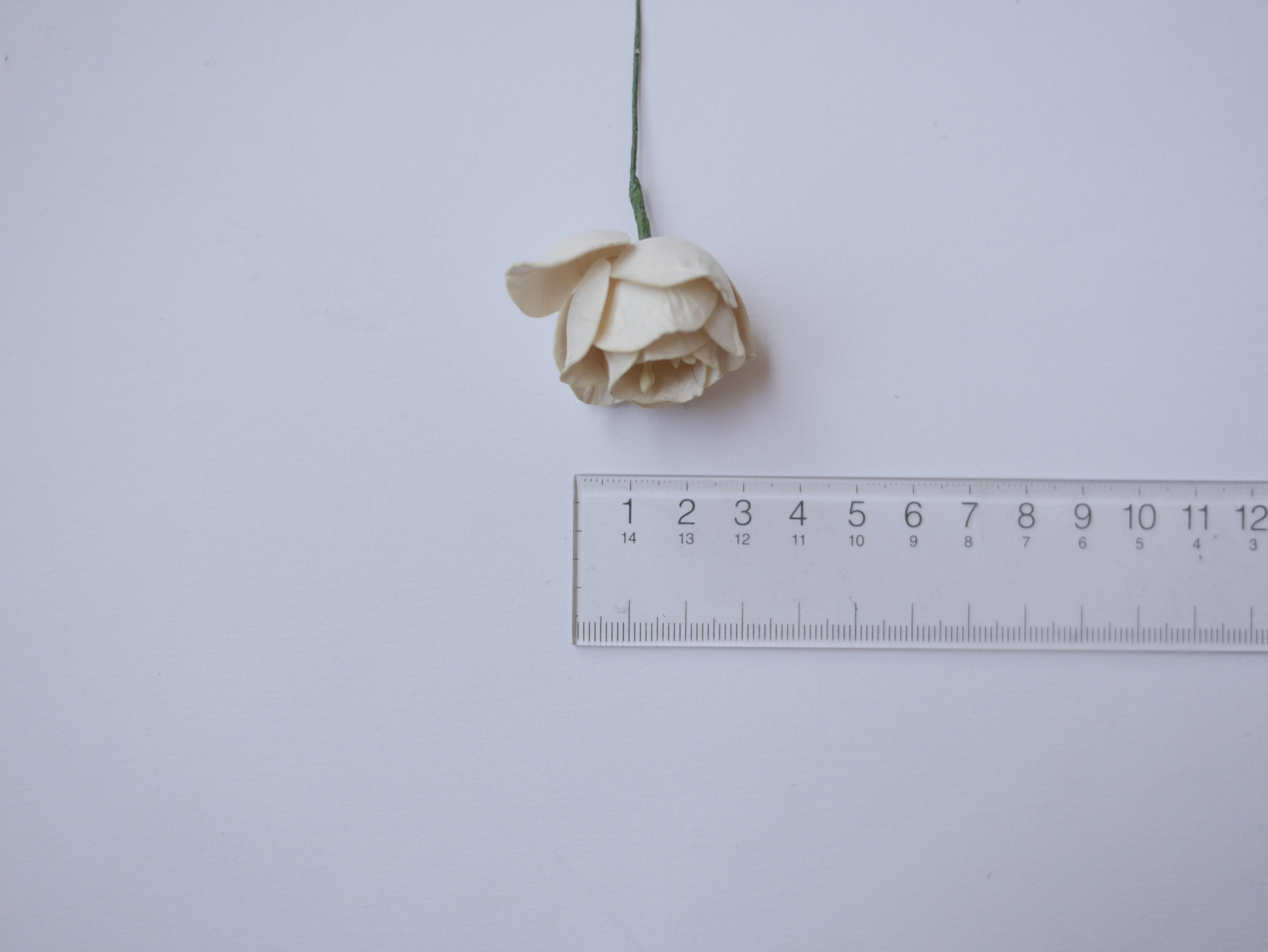 ดอกไม้กระดาษสา ดอกโลตัสอินโดนิเซียกระดาษ ดอกไม้กระดาษสาราคาส่ง ดอกไม้กระดาษสำหรับตกแต่งของชำร่วย งานแต่งงาน ทำช่อดอกไม้ติดอกเจ้าบ่าว ข้อมือดอกไม้เจ้าสาว ขนาด4.5 cm. 20 ดอก สีงาช้าง Paper flowers supplies: DIY wedding tools, Lotus with pollens.