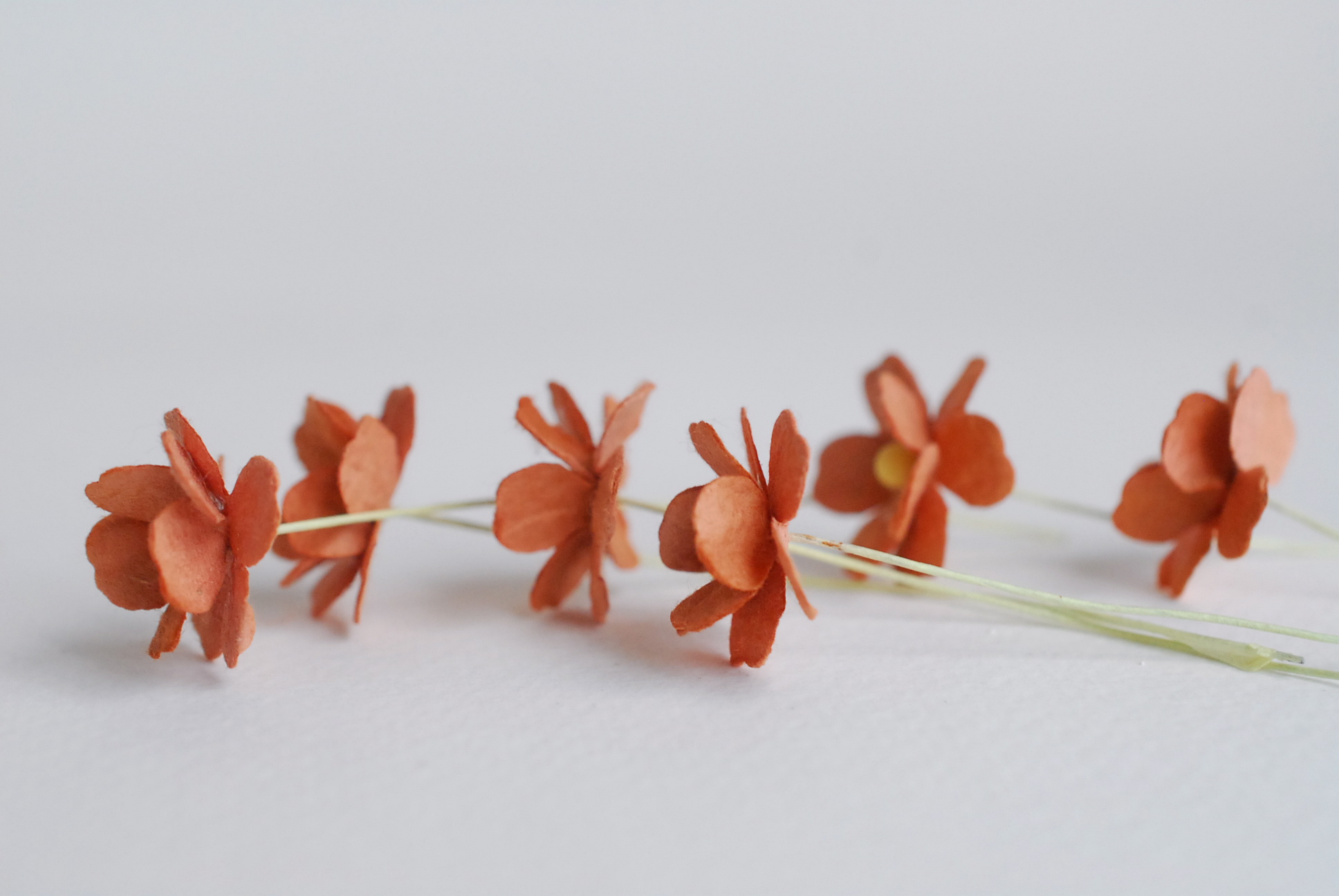 ดอกไม้กระดาษสา ราคาส่ง, ดอกไฮเดรนเยียกระดาษสา ดอกไม้ประดิษฐ์ ตกแต่งงานแต่งงาน ประดิษฐ์ข้อมือเพื่อนเจ้าสาว ขนา่ด 1.5 cm., สำหรับของชำร่วย, งานแต่งงาน, ดอกไม้ทำข้อมือเจ้าสาว สีน้ำตาล จำนวน 100 ดอก Paper flower,100 Pieces mulberry hydenyia brown color