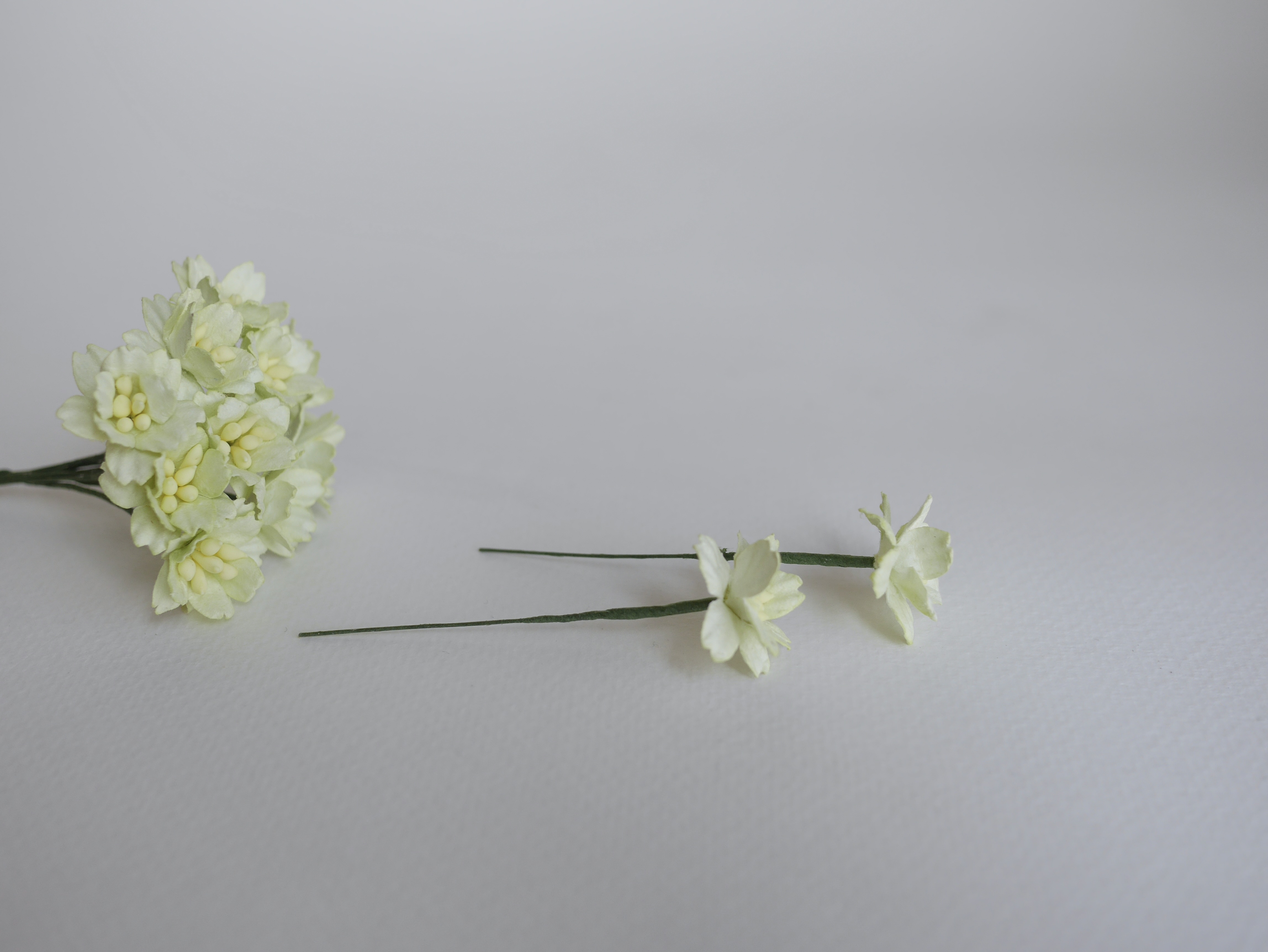 ดอกไม้กระดาษสา ดอกซากุระกระดาษ ขนาดเล็ก ดอกไม้กระดาษสาราคาส่ง ดอกไม้กระดาษสำหรับตกแต่งของชำร่วย งานแต่งงาน ทำช่อดอกไม้ติดอกเจ้าบ่าว ข้อมือดอกไม้เจ้าสาว ขนาด 2.0 cm. 50 ดอก สีเขียวพาสเทลอ่อน Paper flowers supplies: DIY wedding tools small Cherry blossom pa