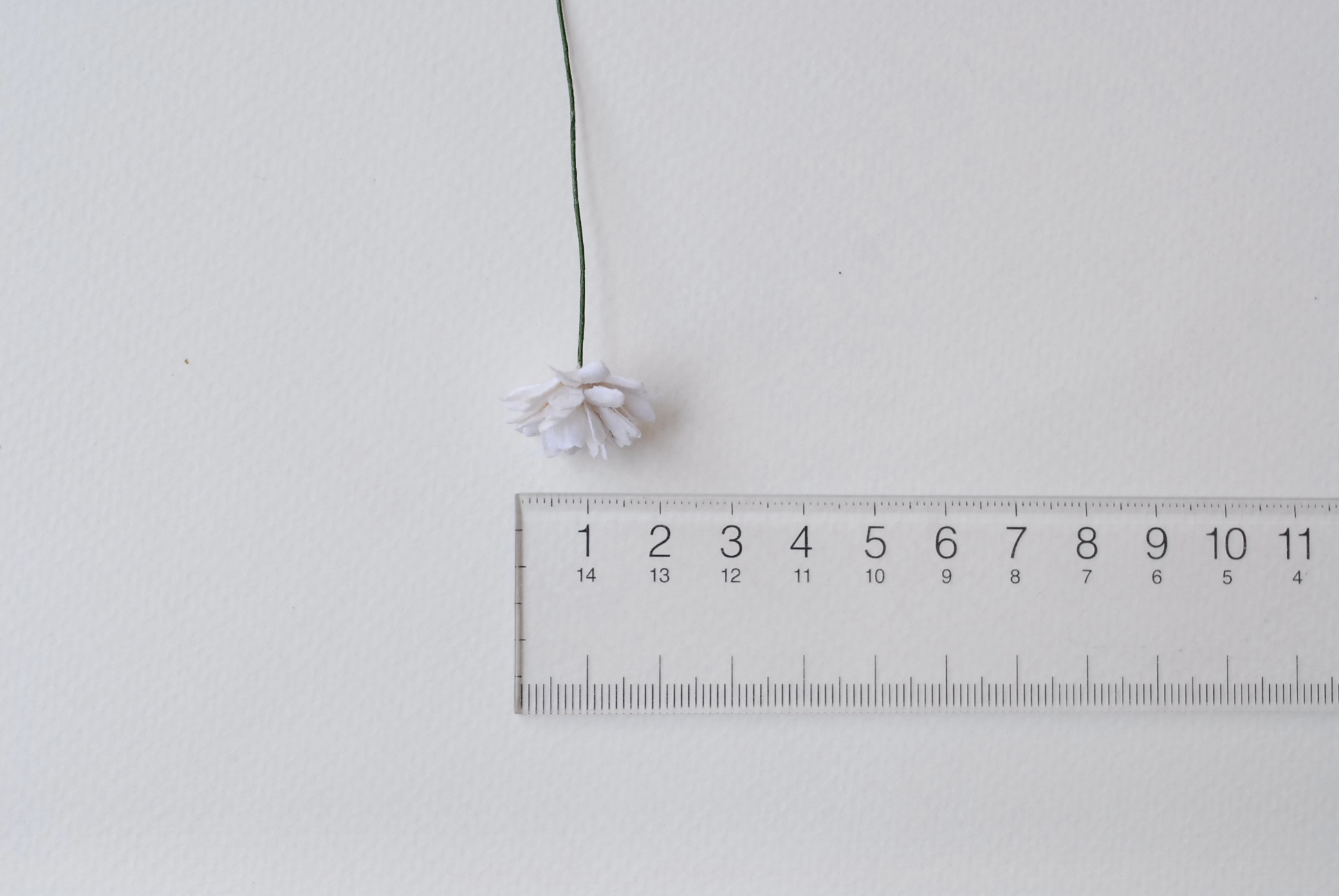 ดอกไม้ประดิษฐ์, ดอกไม้กระดาษสา, ดอก gypsophila, ดอกยิปโซ งานประดิษฐ์ตกแต่งของชำร่วย, ดอกไม้ทำพานพุ่ม,พานพวงมาลัย, พานรับไหว้, ขนาด 2 cm. สีขาว