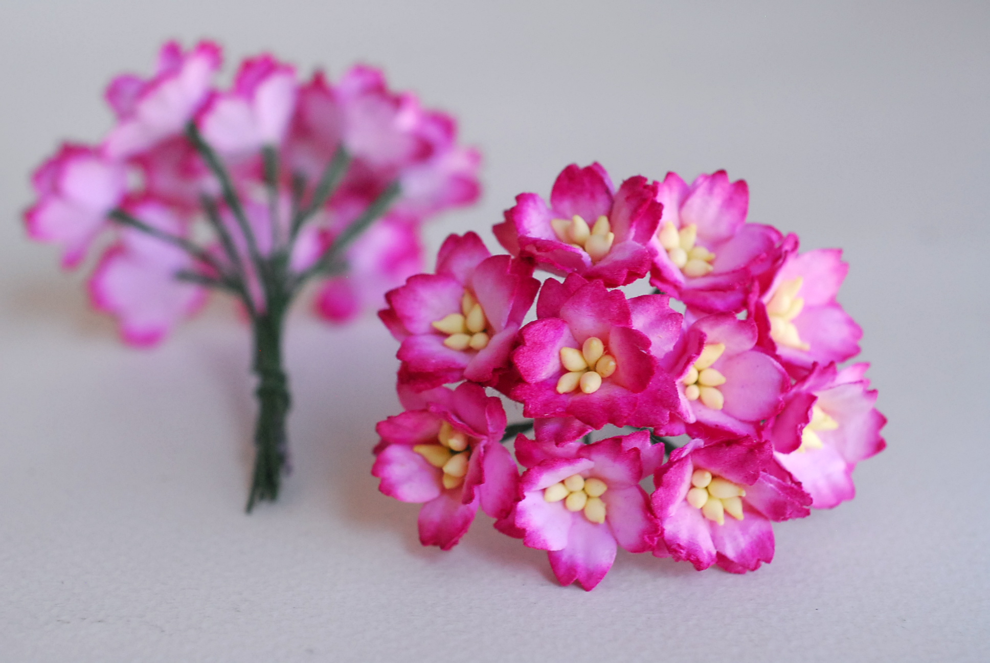 ดอกไม้กระดาษสา ดอกซากุระกระดาษ ขนาดเล็ก ดอกไม้กระดาษสาราคาส่ง ดอกไม้กระดาษสำหรับตกแต่งของชำร่วย งานแต่งงาน ทำช่อดอกไม้ติดอกเจ้าบ่าว ข้อมือดอกไม้เจ้าสาว ขนาด2.0 cm. 50 ดอก สีชมพูบานเย็นปัด Paper flowers supplies: DIY wedding tools small Cherry blossom