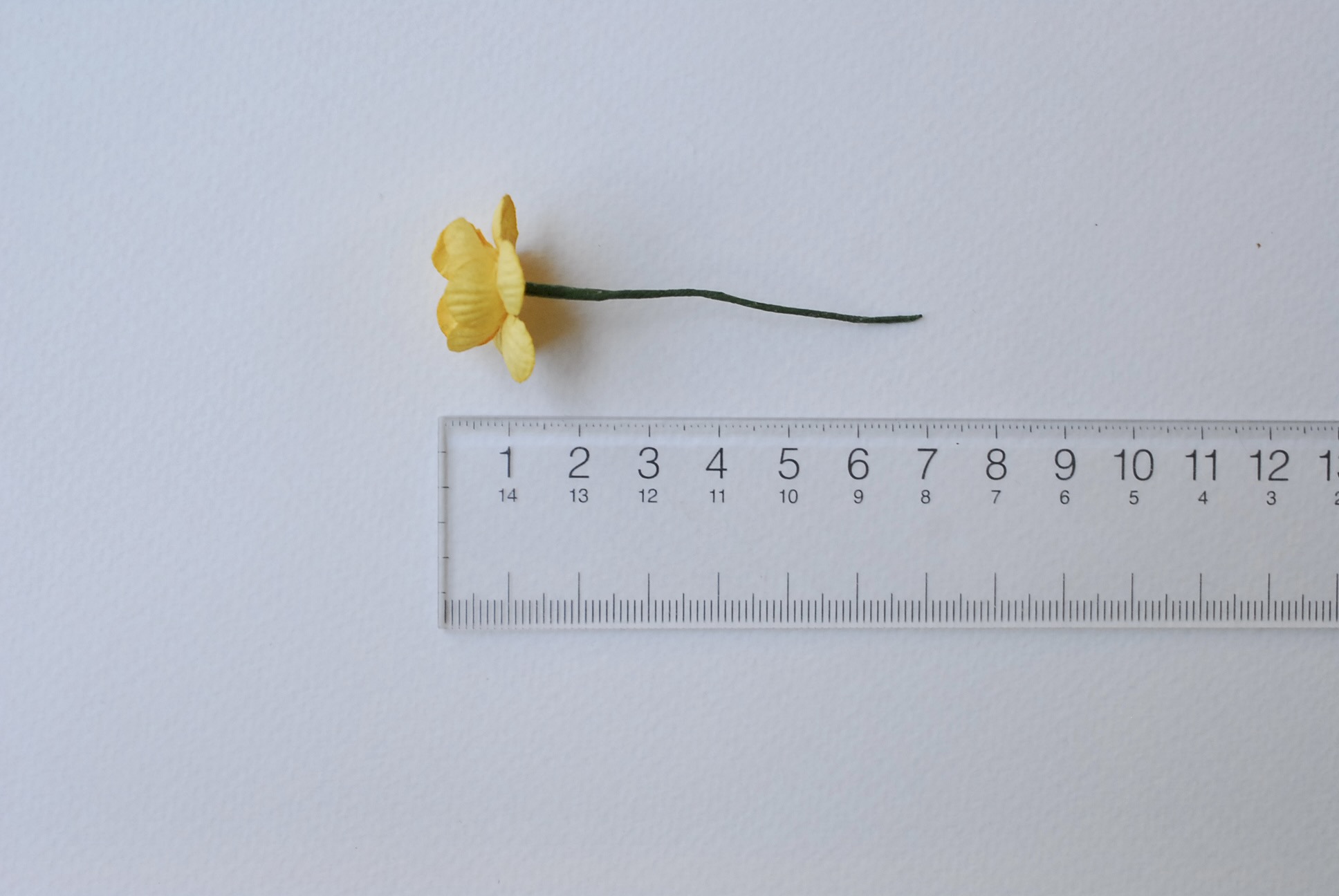 ดอกไม้กระดาษสา ดอกซากุระกระดาษ ขนาดเล็ก ดอกไม้กระดาษสาราคาส่ง ดอกไม้กระดาษสำหรับตกแต่งของชำร่วย งานแต่งงาน ทำช่อดอกไม้ติดอกเจ้าบ่าว ข้อมือดอกไม้เจ้าสาว ขนาด2.0 cm. 50 ดอก สีเหลืองกลาง Paper flowers supplies: DIY wedding tools small Cherry blossom (Sakura)