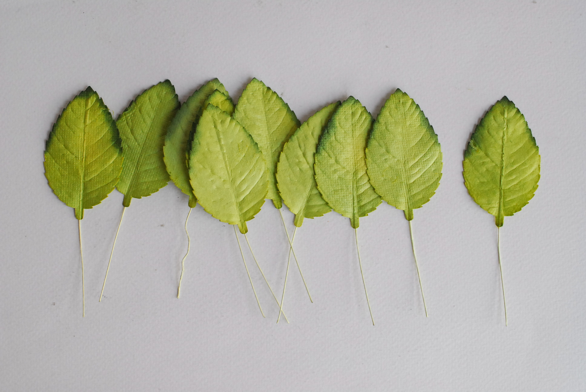 ใบไม้กระดาษ ใบไม้กระดาษสา ราคาส่ง,ใบไม่้กุหลาบกระดาษ สำหรับดอกกุหลาบกระดาษสา ใบไม้ประดิษฐ์ สำหรับตกแต่ง หรืองานแต่งงาน สีเขียวปัดเขียวเข้ม ขนาด6x4.5 cm. จำนวน 50 ใบ