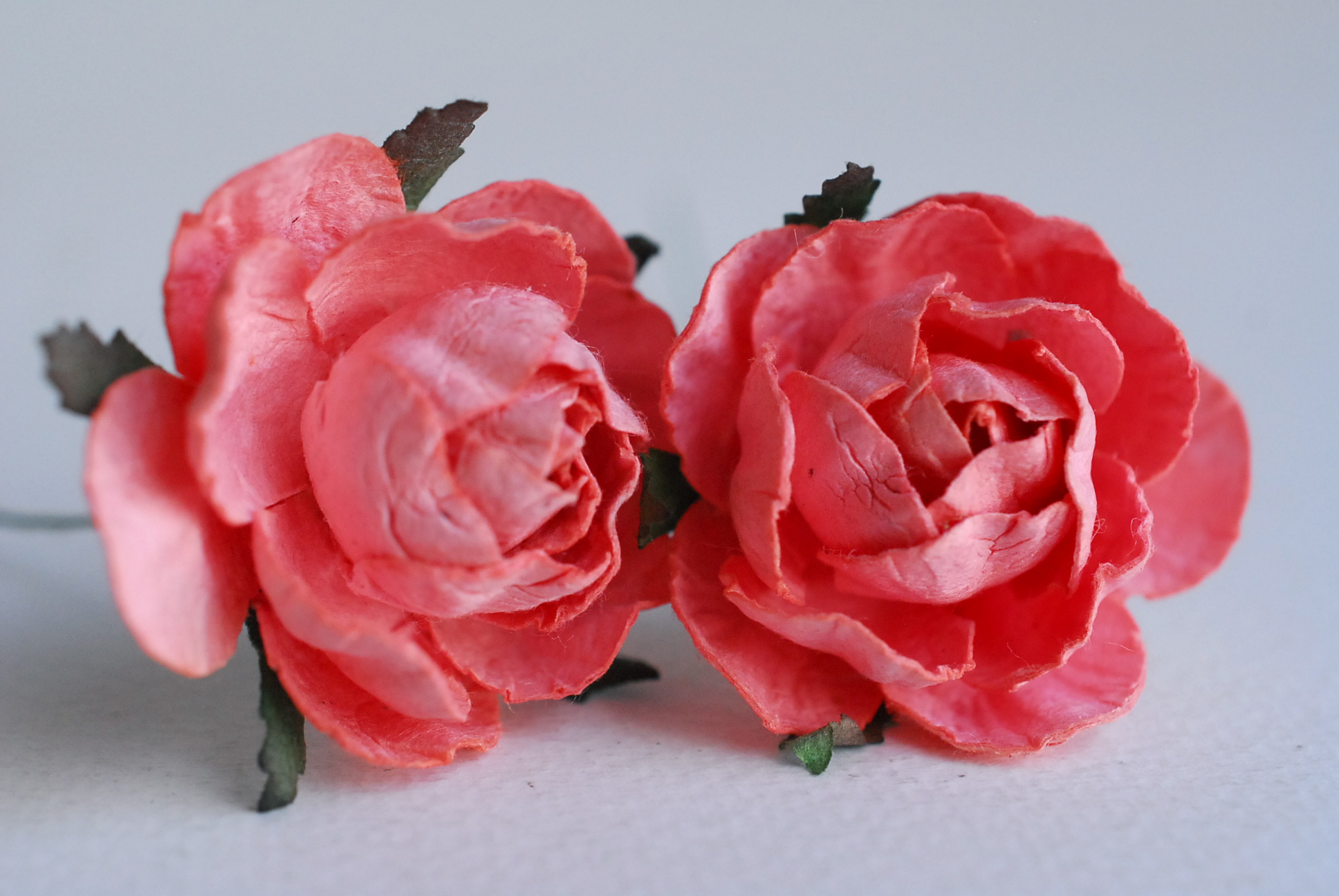 ดอกกุหลาบกระดาษสา peony ดอกไม้กระดาษสาราคาส่ง, ดอกไม้กระดาษ,ดอกไม้ประดิษฐ์ สำหรับตกแต่งของชำร่วย งานแต่งงาน ดอกกุหลาบกลม peony ขนาด 3.5 cm. จำนวน 25 ดอก, สีชมพูหวาน coral Paper Flowers, Peony flowers supplies size 3.5cm./ 25 pieces, handmade flowers. cora