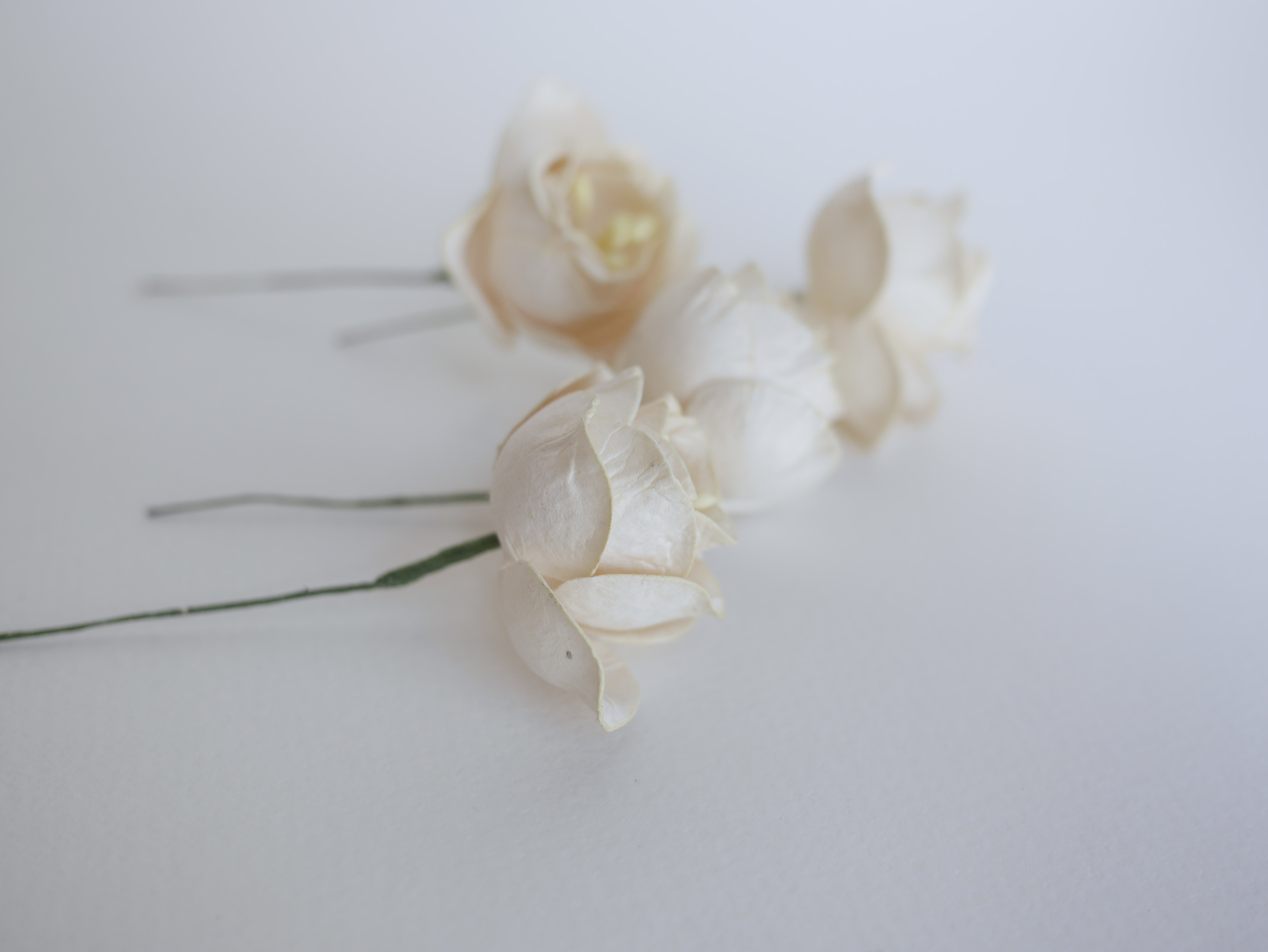 ดอกไม้กระดาษสา ดอกโลตัสอินโดนิเซียกระดาษ ดอกไม้กระดาษสาราคาส่ง ดอกไม้กระดาษสำหรับตกแต่งของชำร่วย งานแต่งงาน ทำช่อดอกไม้ติดอกเจ้าบ่าว ข้อมือดอกไม้เจ้าสาว ขนาด4.5 cm. 20 ดอก สีงาช้าง Paper flowers supplies: DIY wedding tools, Lotus with pollens.