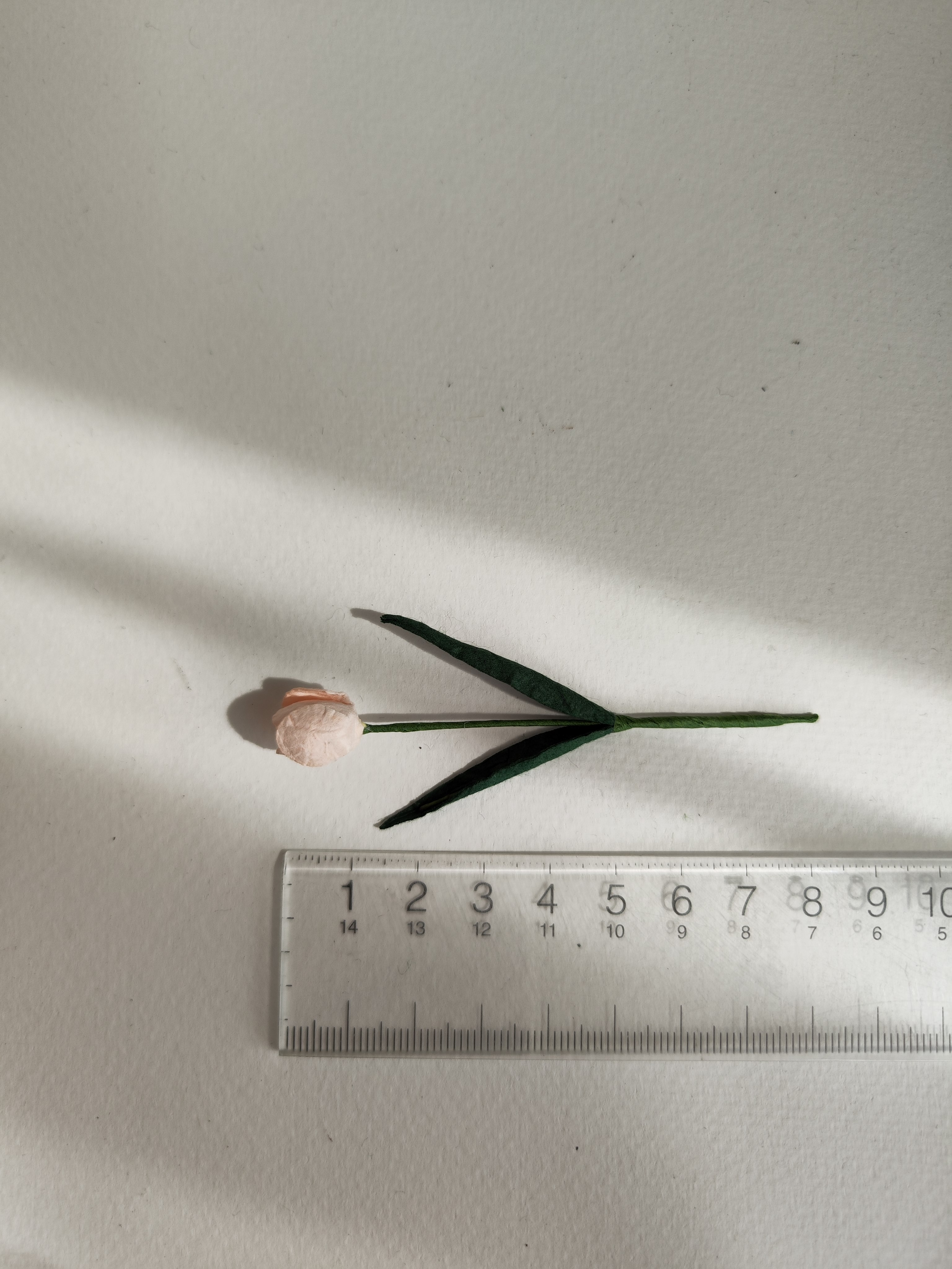 ดอกไม้ประดิษฐ์, ดอกไม้กระดาษสา, ดอกtulips, ดอกทิวลิปส์, ก้านสีเขียว เกสรสีขาว งานประดิษฐ์ตกแต่งของชำร่วย, ทำการ์ดรับเชิญ, ช่อดอกไม้ขนาดเล็ก, ขนาด 1.5 cm. สีชมพูพีชอ่อน, pale pinkcolor.