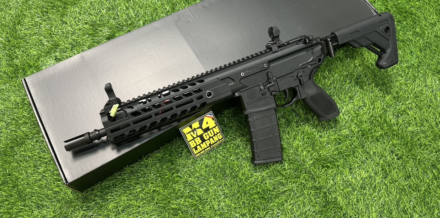 E&C SIG MCX Virtus SBR 9.5" AEG
