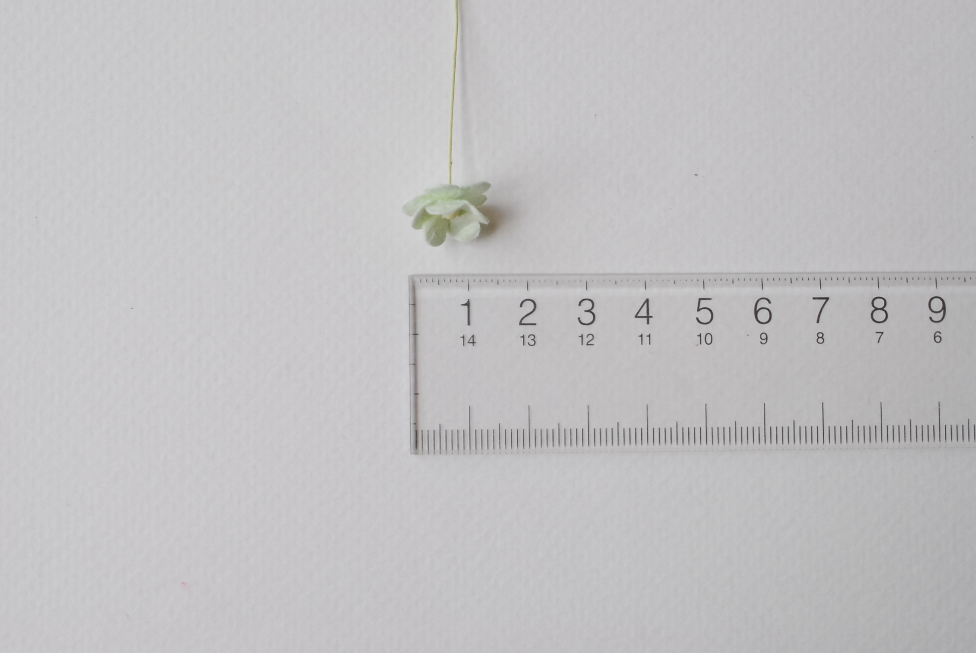 ดอกไม้กระดาษสา ราคาส่ง, ดอกไฮเดรนเยียกระดาษสา ดอกไม้ประดิษฐ์ ตกแต่งงาน ประดิษฐ์ข้อมือ เพื่อนเจ้าสาว ขนาด 1.5 cm., สำหรับของชำร่วย, งานแต่งงาน, ดอกไม้ทำข้อมือเจ้าสาว สีเขียวมิ้นต์ จำนวน 100 ดอก Paper flower,100 Pieces mulberry hydenyia, green mint color.