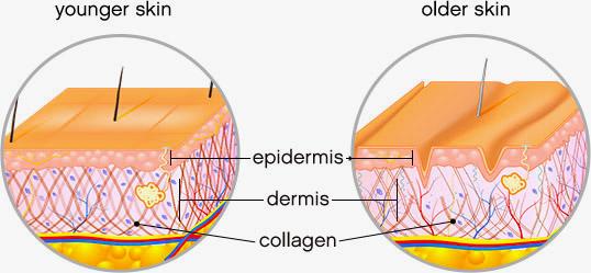 Skinade Better skin from within 60 Day Travel Supply 0 กก.