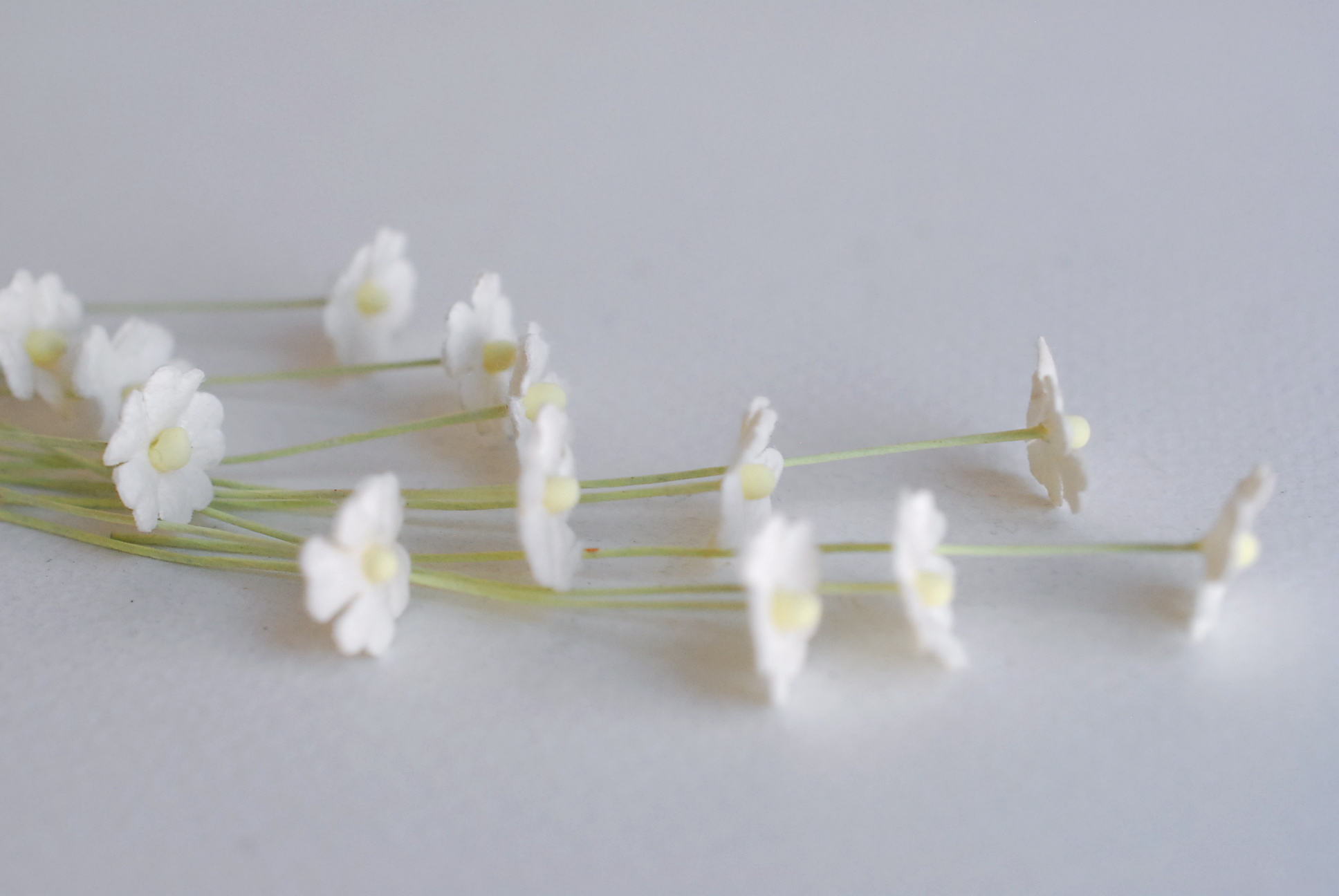 ดอกไม้กระดาษสา ดอกไม้กระดาษสาราคาส่ง ดอกไม้กระดาษสำหรับตกแต่ง งานแต่งงาน หรือติดของชำร่วย ดอกไม้จิ๋ว 100 ดอก ขนาด 1 cm. สีขาว of-white Small Paper Flower with stem, , 100 pcs., size 1 cm., small creeping ladies flowers 1 layer, of-white color.