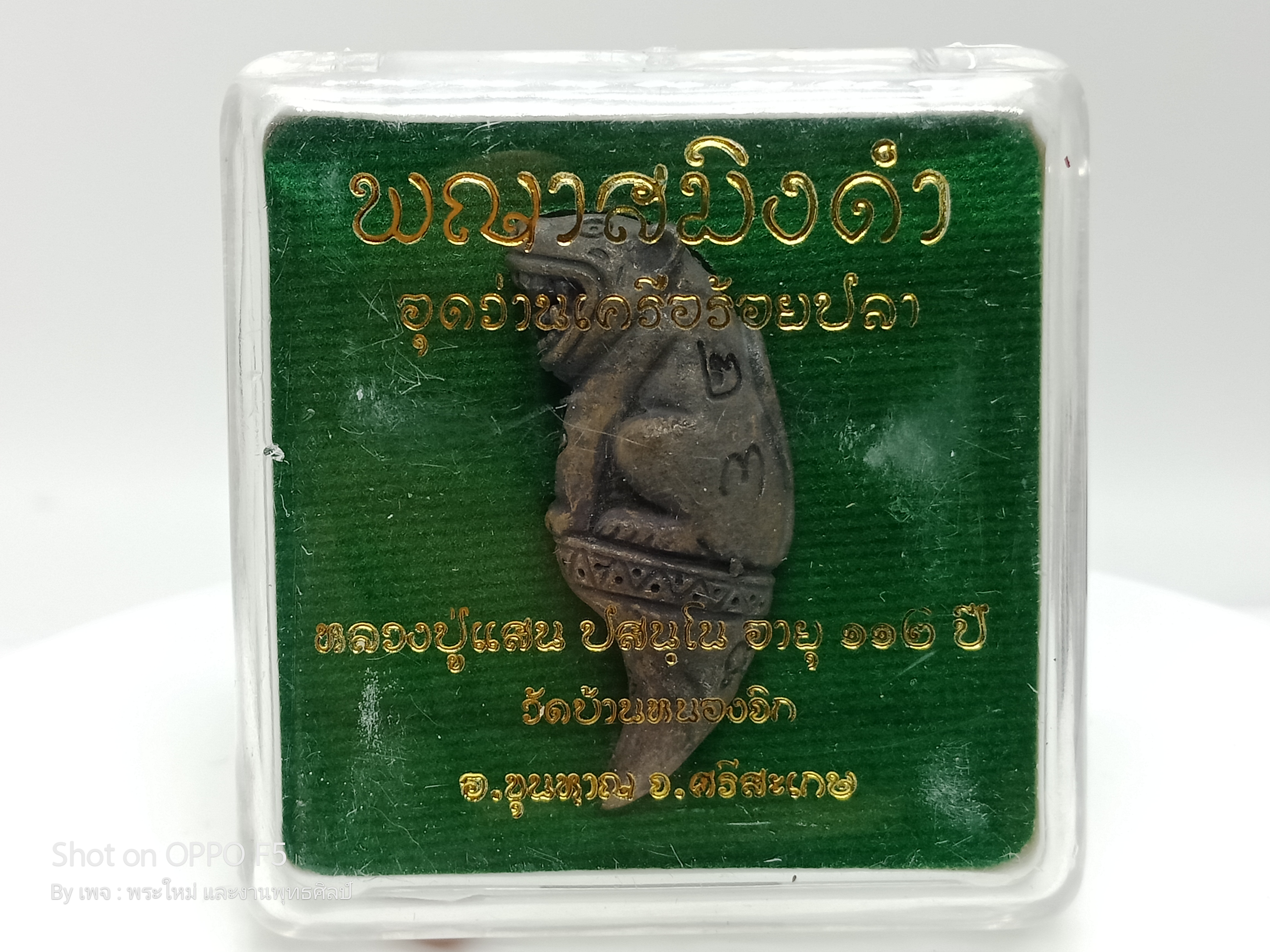 พญาสมิงดำ เนื้อ: มหาโภคทรัพย์อุดว่านเครือร้อยปลาตัวผู้ตัวเมีย