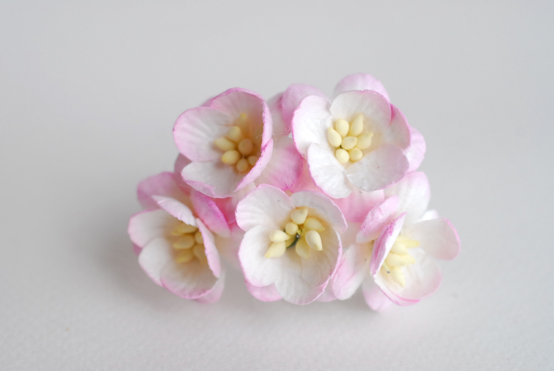 ดอกไม้กระดาษสา ดอกซากุระกระดาษ ดอกไม้กระดาษสาราคาส่ง ดอกไม้กระดาษสำหรับตกแต่งของชำร่วย งานแต่งงาน ทำช่อดอกไม้ติดอกเจ้าบ่าว ข้อมือดอกไม้เจ้าสาว ขนาด2.5 cm. 50 ดอก สีชมพูปัด Paper flowers supplies: DIY wedding tools Cherry blossom (Sakura) 50 pcs. size 2.5