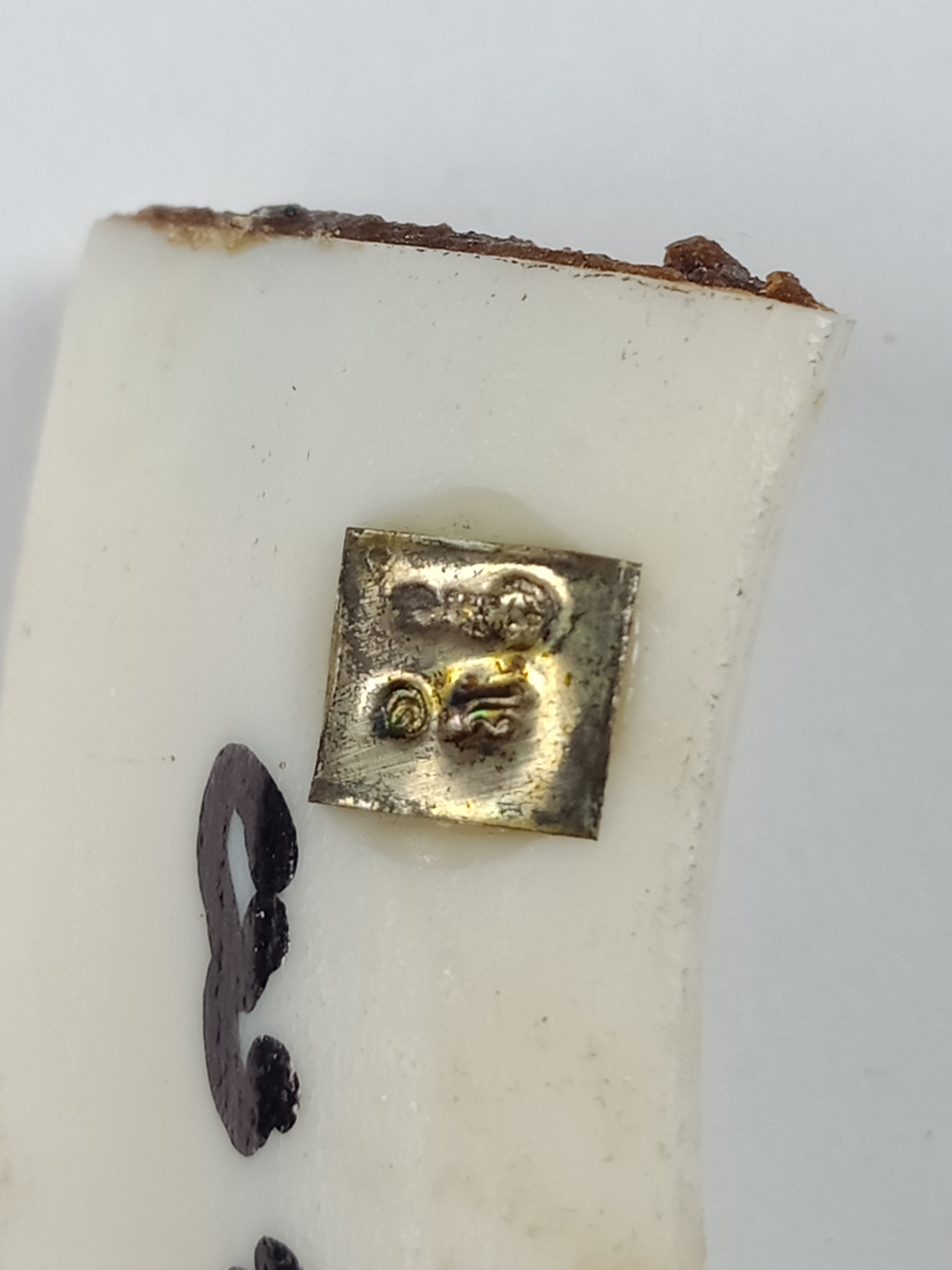 เขี้ยวหมู่ป่า พลิกแผ่นดิน