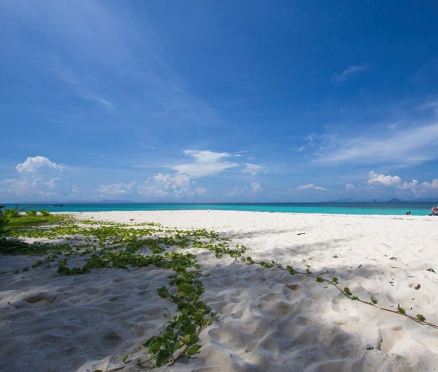 อันดับ 1 ทัวร์เกาะพีพี อ่าวมาหยา อ่าวปิเละ เกาะไผ่ โดยเรือสปีดโบ๊ท