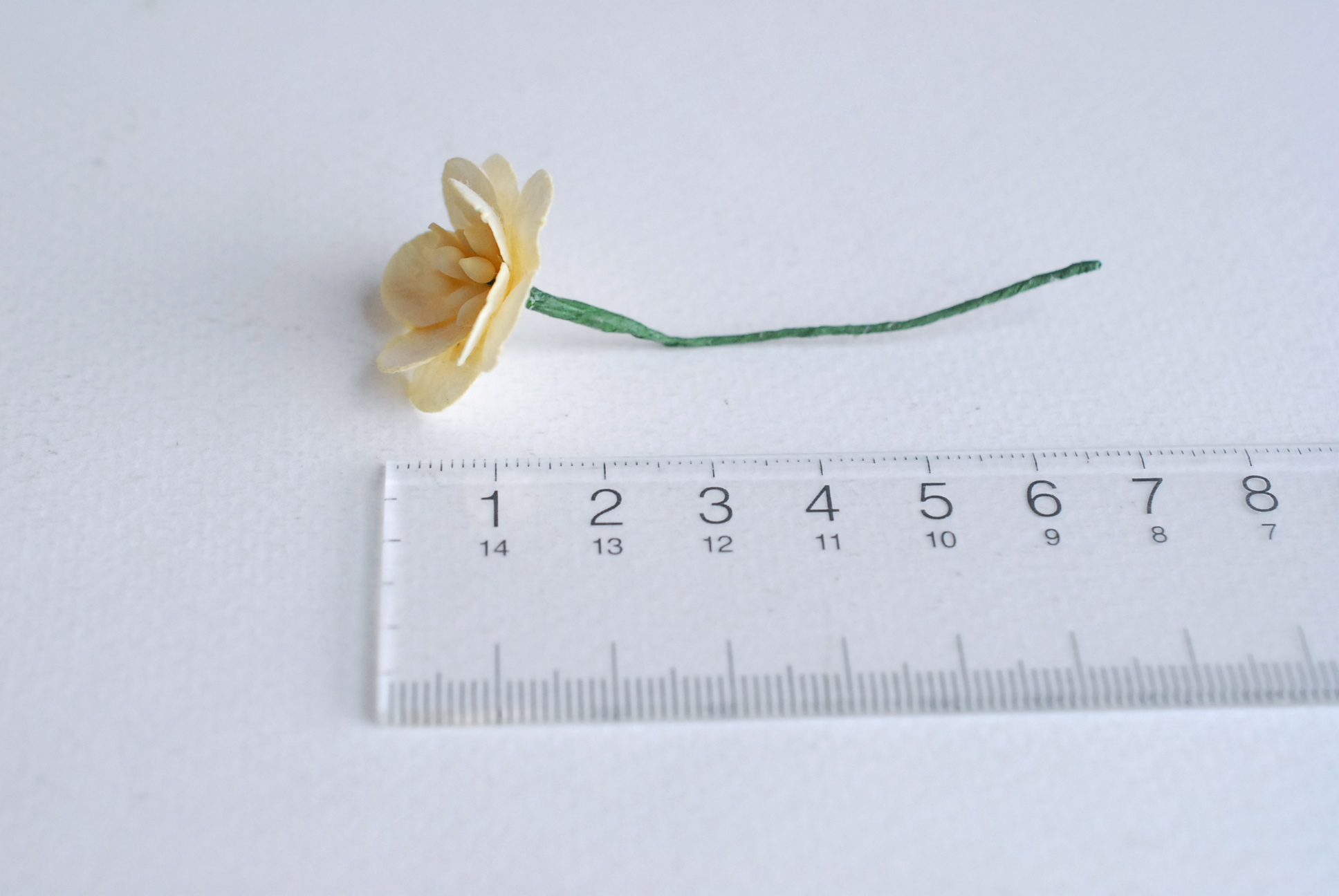 ดอกไม้กระดาษสา ดอกไม้กระดาษสาราคาส่ง ดอกไม้กระดาษสำหรับตกแต่งของชำร่วย งานแต่งงาน ทำช่อดอกไม้ติดอกเจ้าบ่าว ข้อมือดอกไม้เจ้าสาว ขนาด2.5 cm. 50 ดอก Paper flowers supplies: DIY wedding tools Cherry blossom (Sakura) 50 pcs. size 2.5 cm. Ivory color. สำเนา