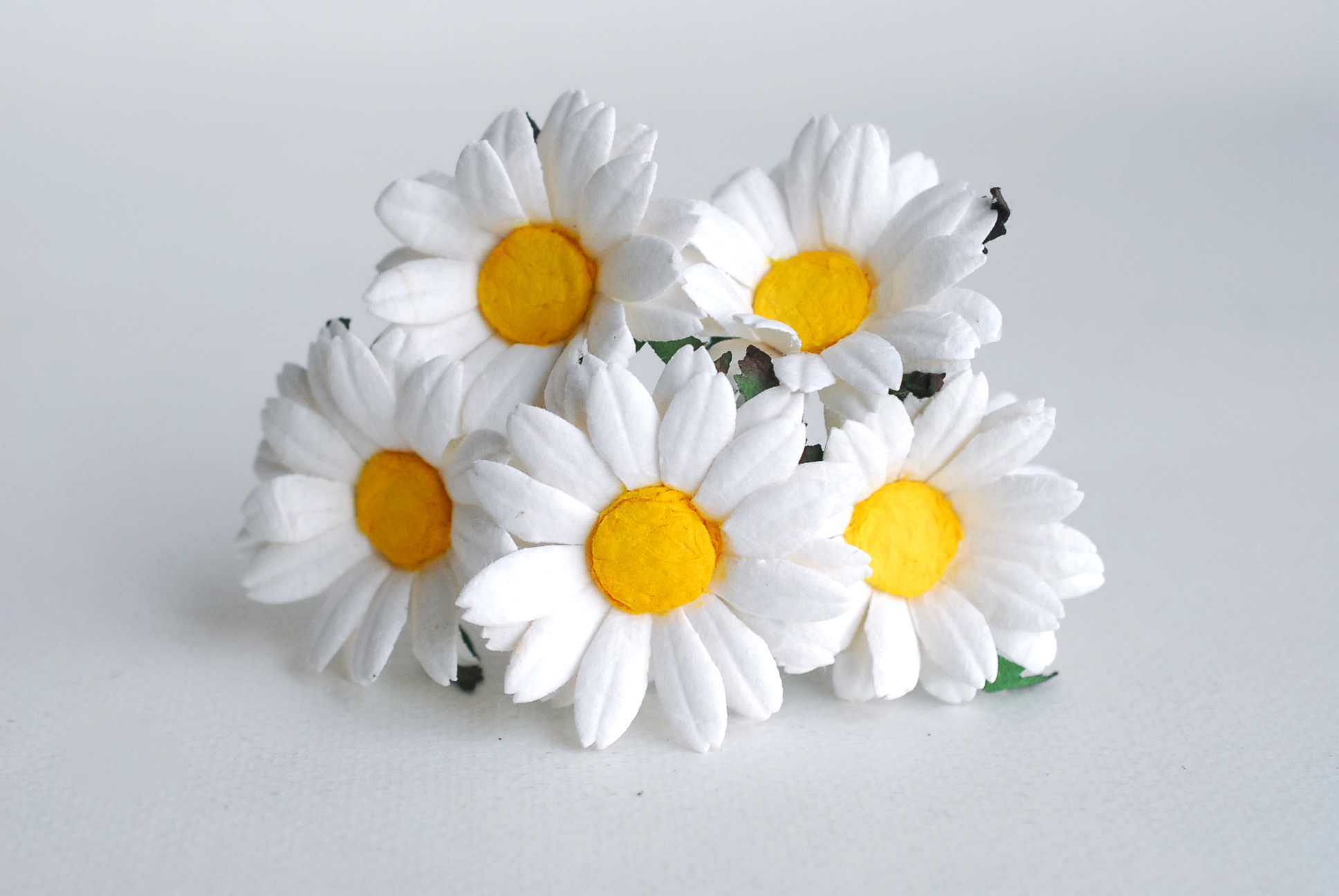 ดอกทานตะวันกระดาษ ดอกไม้กระดาษสา ดอกไม้ประดิษฐ์จากกระดาษสา ดอกทานตะวัน ดอกไม้กระดาษสาขายส่ง ดอกไม้ประดิษฐ์ ดอกไม้ทำข้อมือเพื่อนเจ้าสาว ขนาด 4.5 cm. จำนวน 25 ดอก สีขาว เกสรสีเหลือง Paper Flower, Sun Flowers, white color, size 4.5 cm 25pieces, yellow pollen