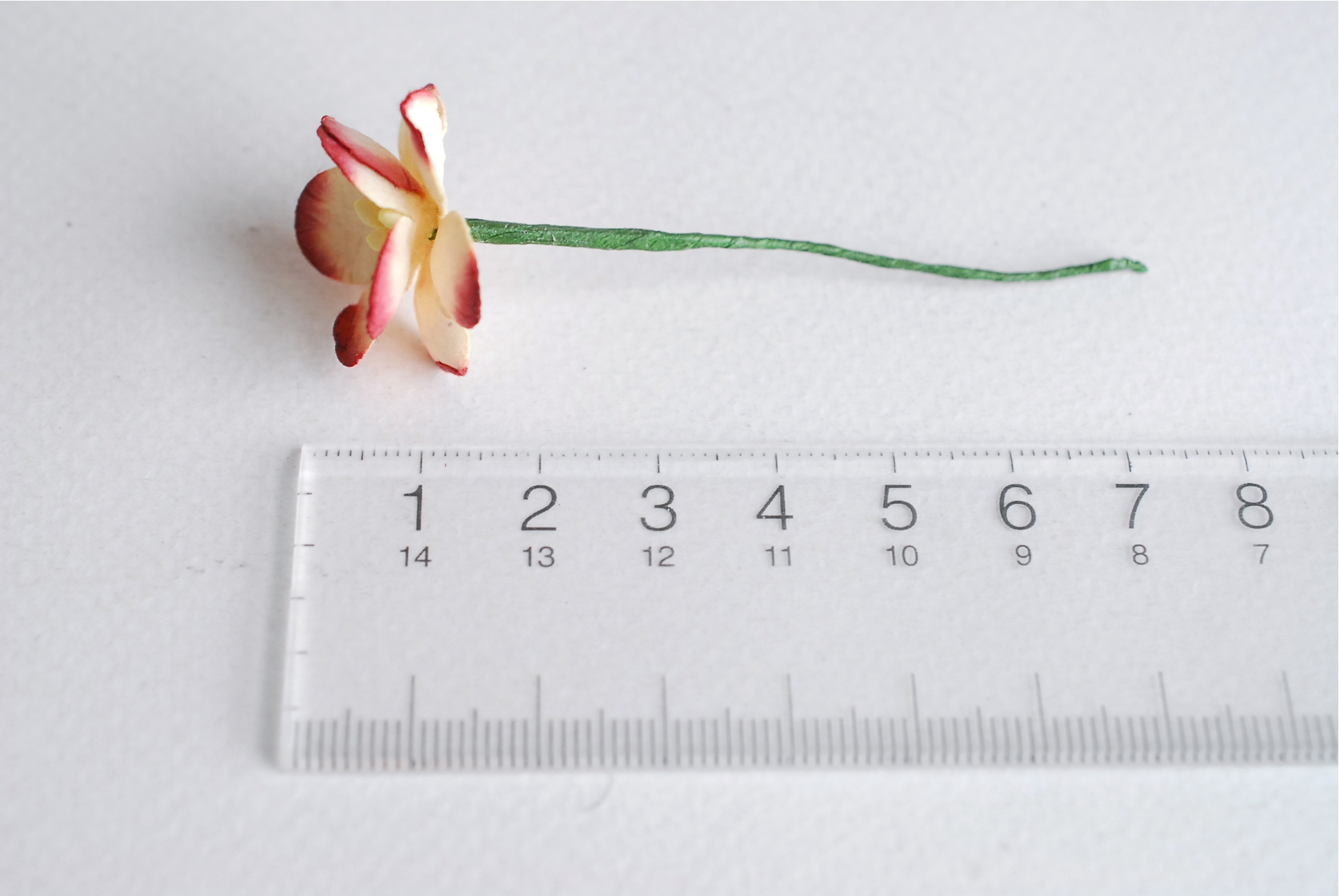 ดอกไม้กระดาษสา ดอกไม้กระดาษสาราคาส่ง ดอกไม้กระดาษสำหรับตกแต่งของชำร่วย งานแต่งงาน ทำช่อดอกไม้ติดอกเจ้าบ่าว ข้อมือดอกไม้เจ้าสาว ขนาด2.5 cm. 50 ดอก Paper flowers supplies: DIY wedding tools Cherry blossom (Sakura) 50 pcs. size 2.5 cm. Ivory brush dark red c