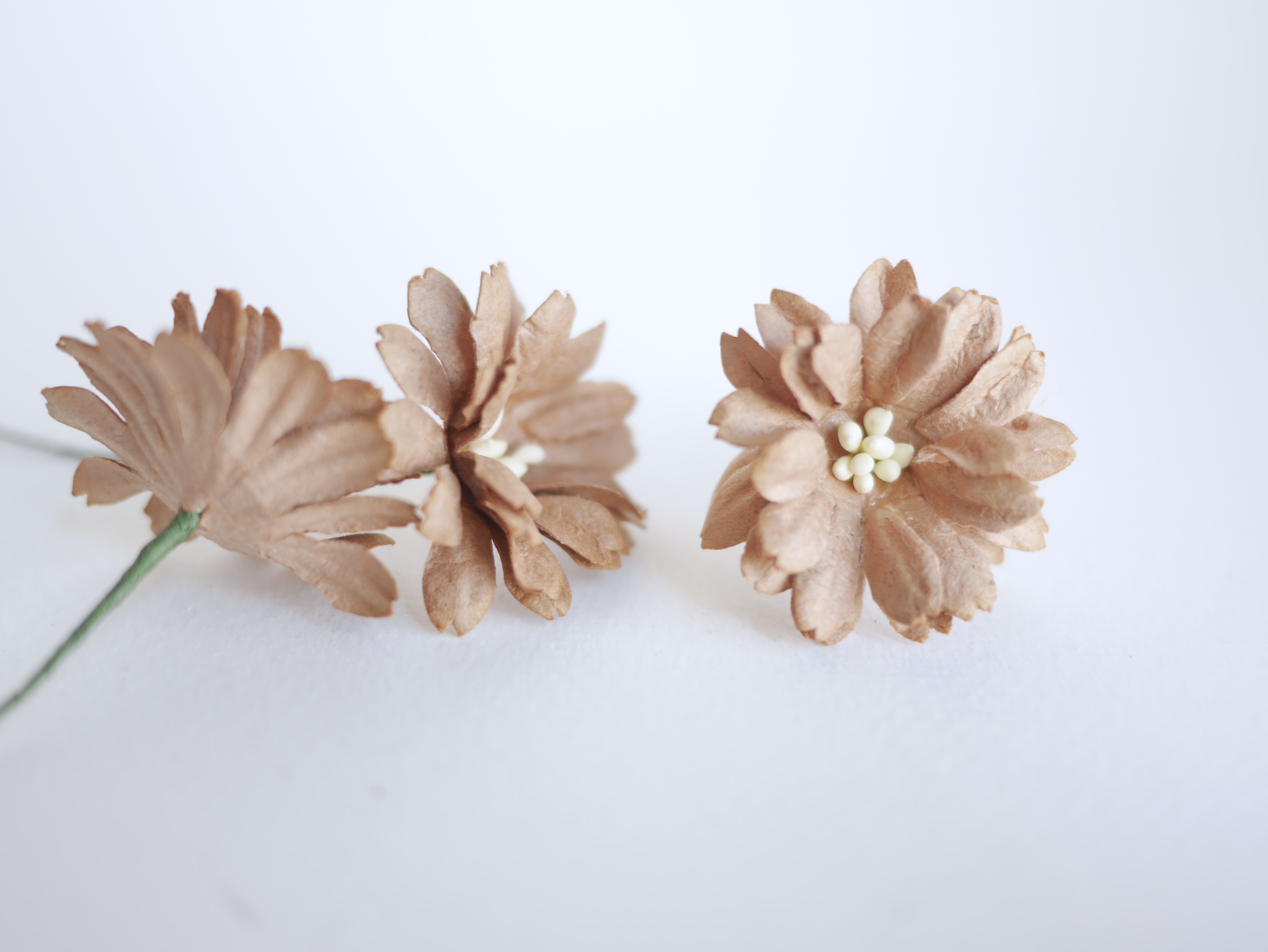 ดอกไม้กระดาษสา ดอกไม้ประดิษฐ์จากกระดาษสา ดอกไม้กระดาษสาขายส่ง ดอกไม้ประดิษฐ์ ดอกไม้ทำข้อมือเพื่อนเจ้าสาว ดอก daisy ขนาด 3.5 cm. จำนวน 25 ดอก สีน้ำตาล Paper Flower, 25 Daisy Flowers, brown color, size 3.5 cm., ivory pollen